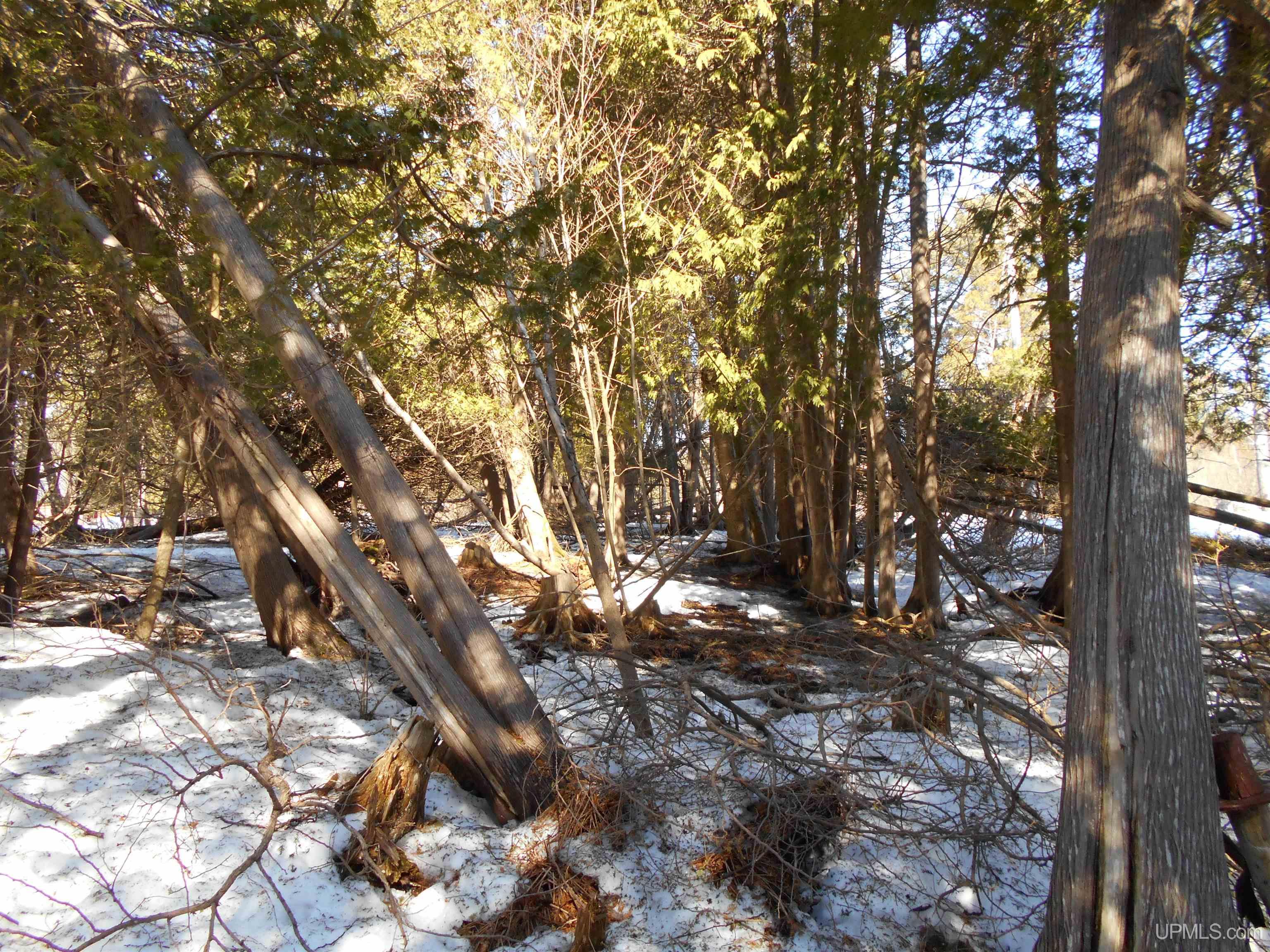 1325 S M149 Road, Manistique, MI, 49854