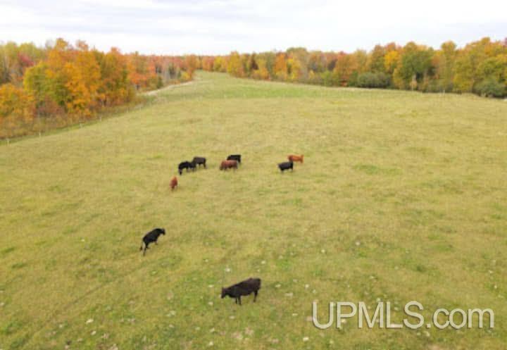 MLS 50204140 Large photo number 28 