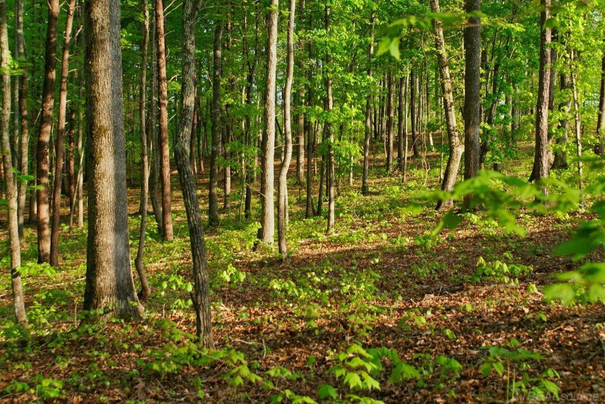 11261 21 Mile Road, Shelby Twp, MI, 48317