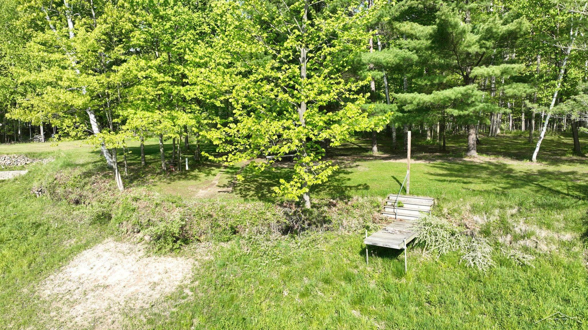 Picture 3