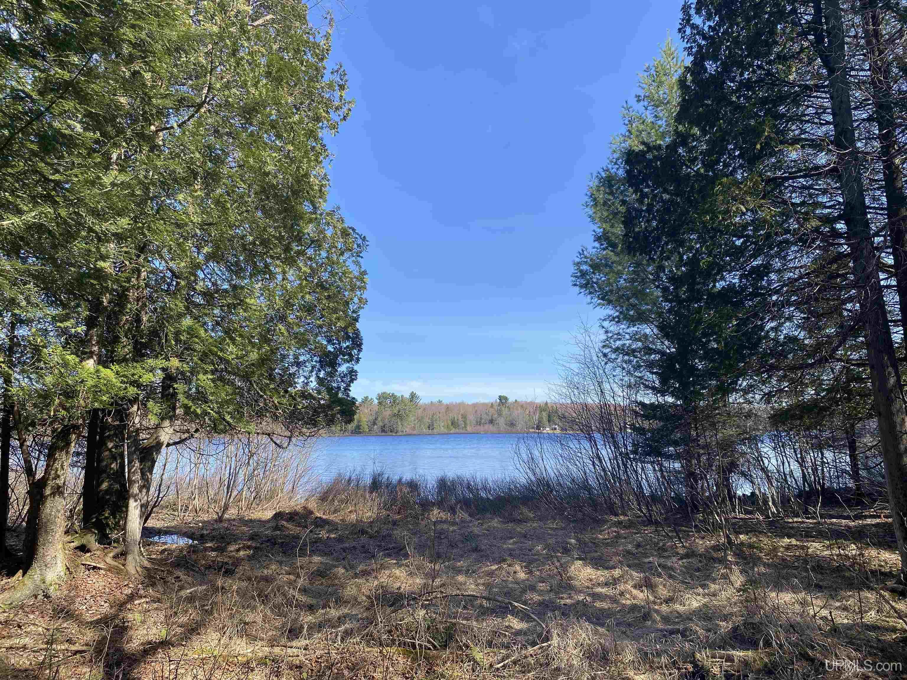 MLS 50204287 Large photo number 2 