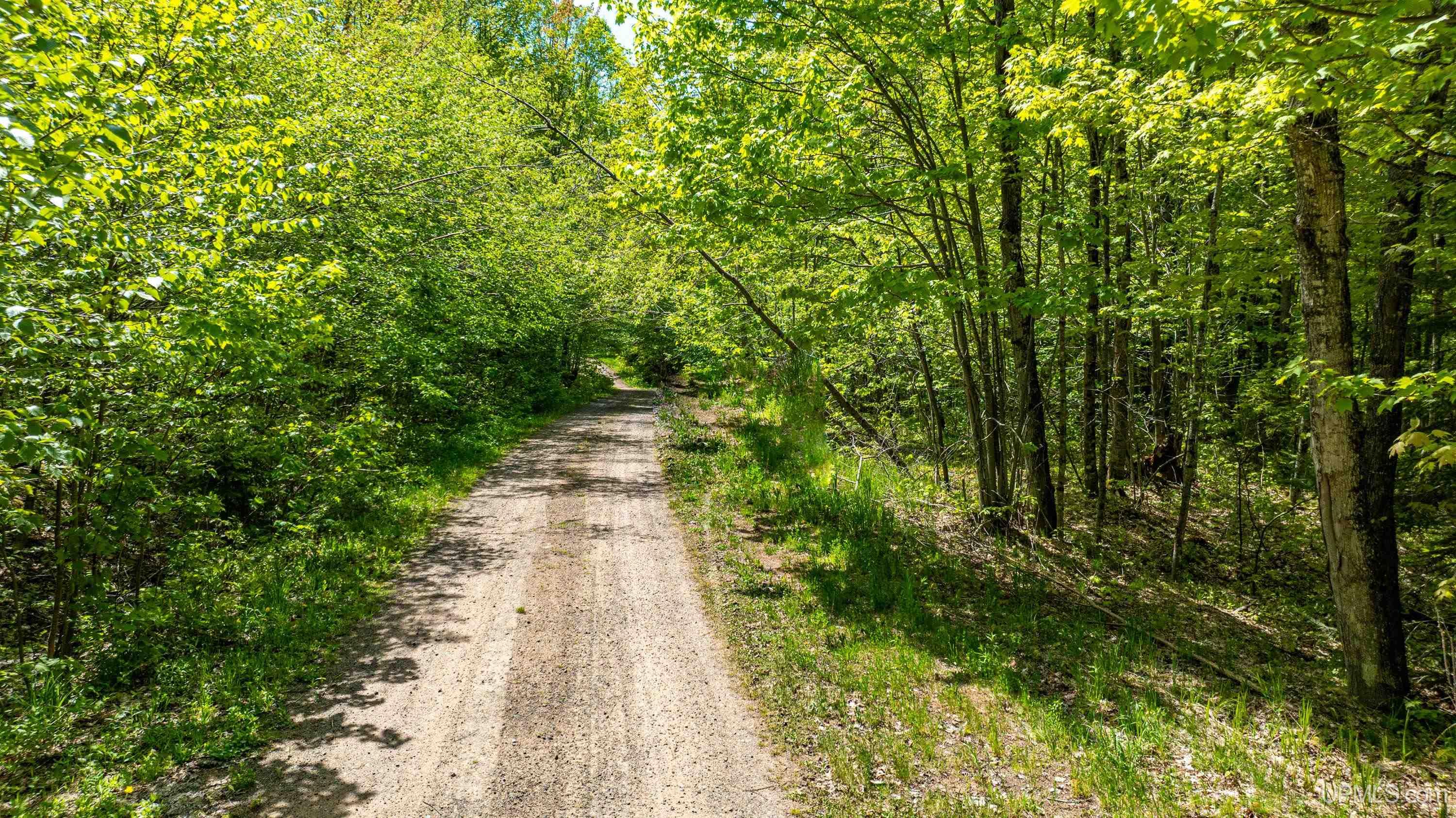 MLS 50204287 Large photo number 19 