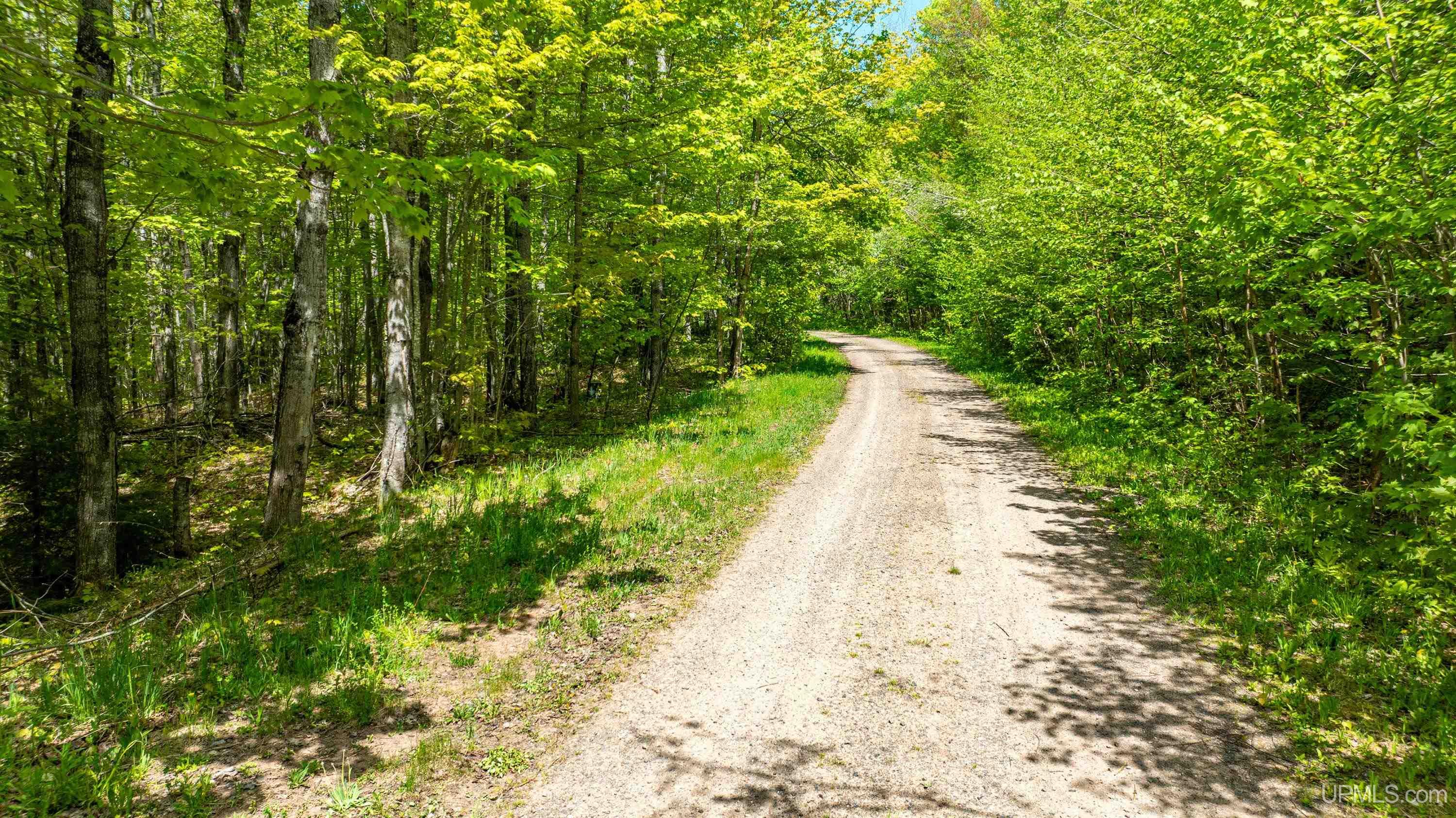 MLS 50204287 Large photo number 25 
