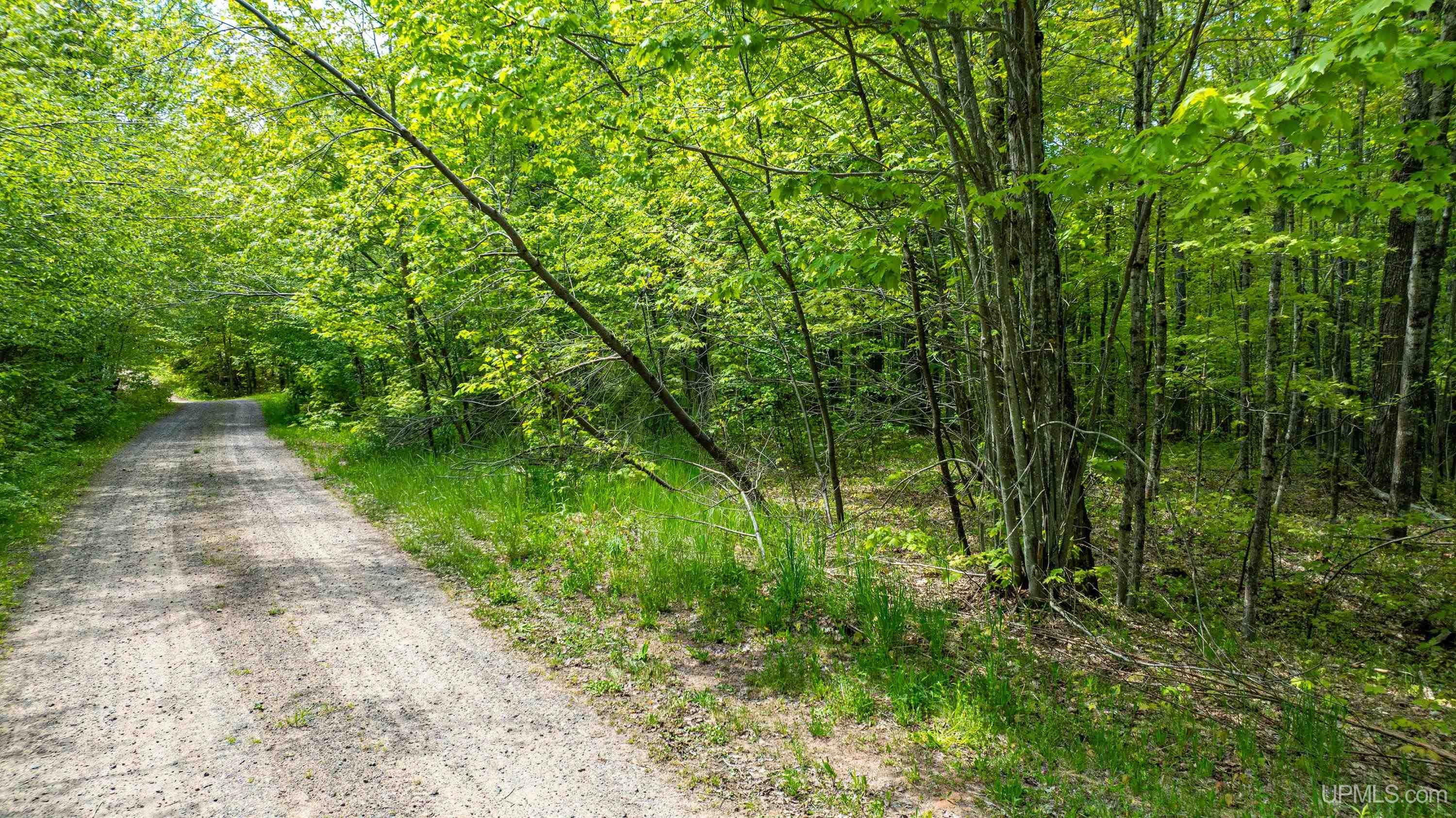 MLS 50204287 Large photo number 27 