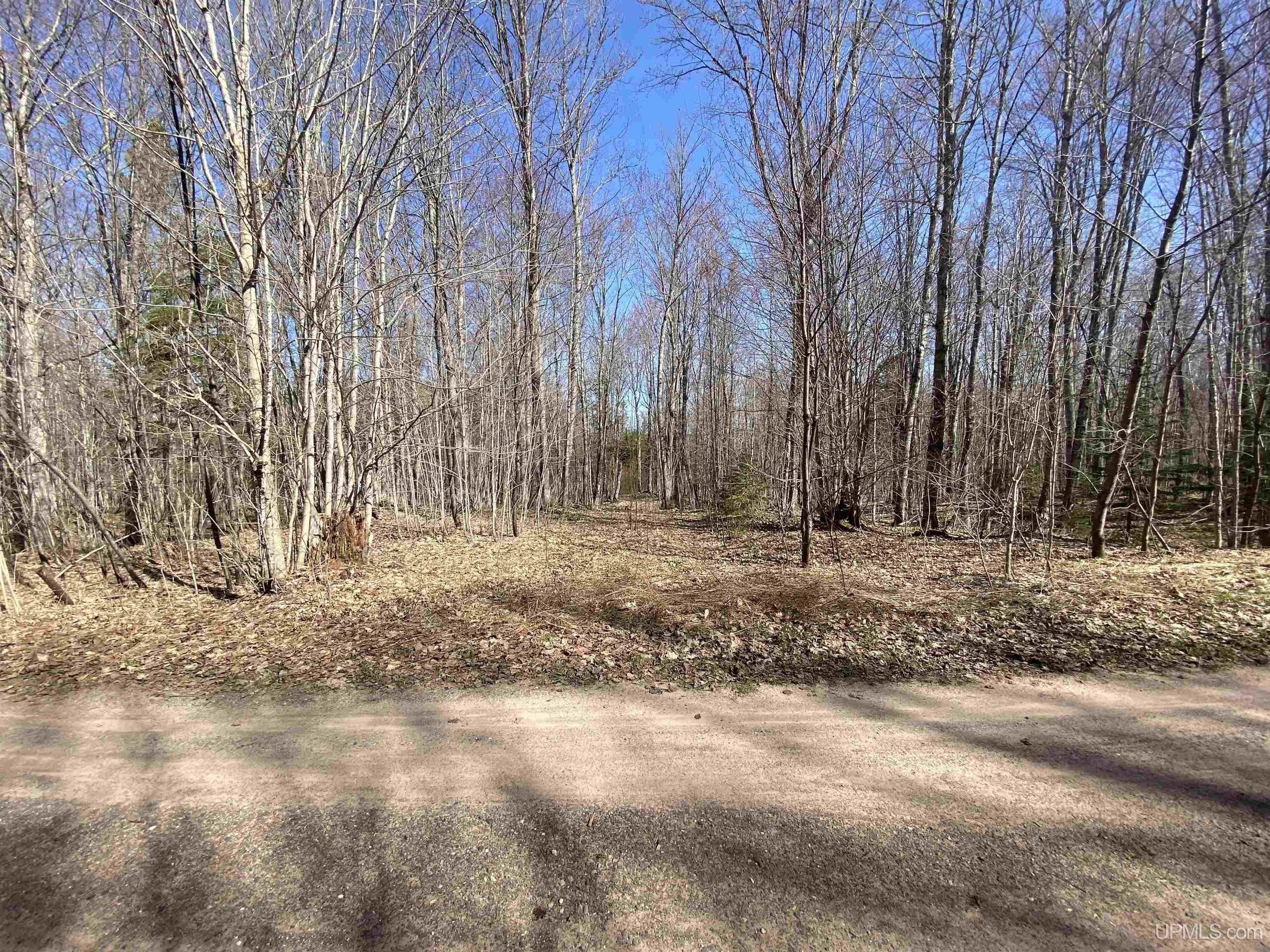 MLS 50204287 Large photo number 28 