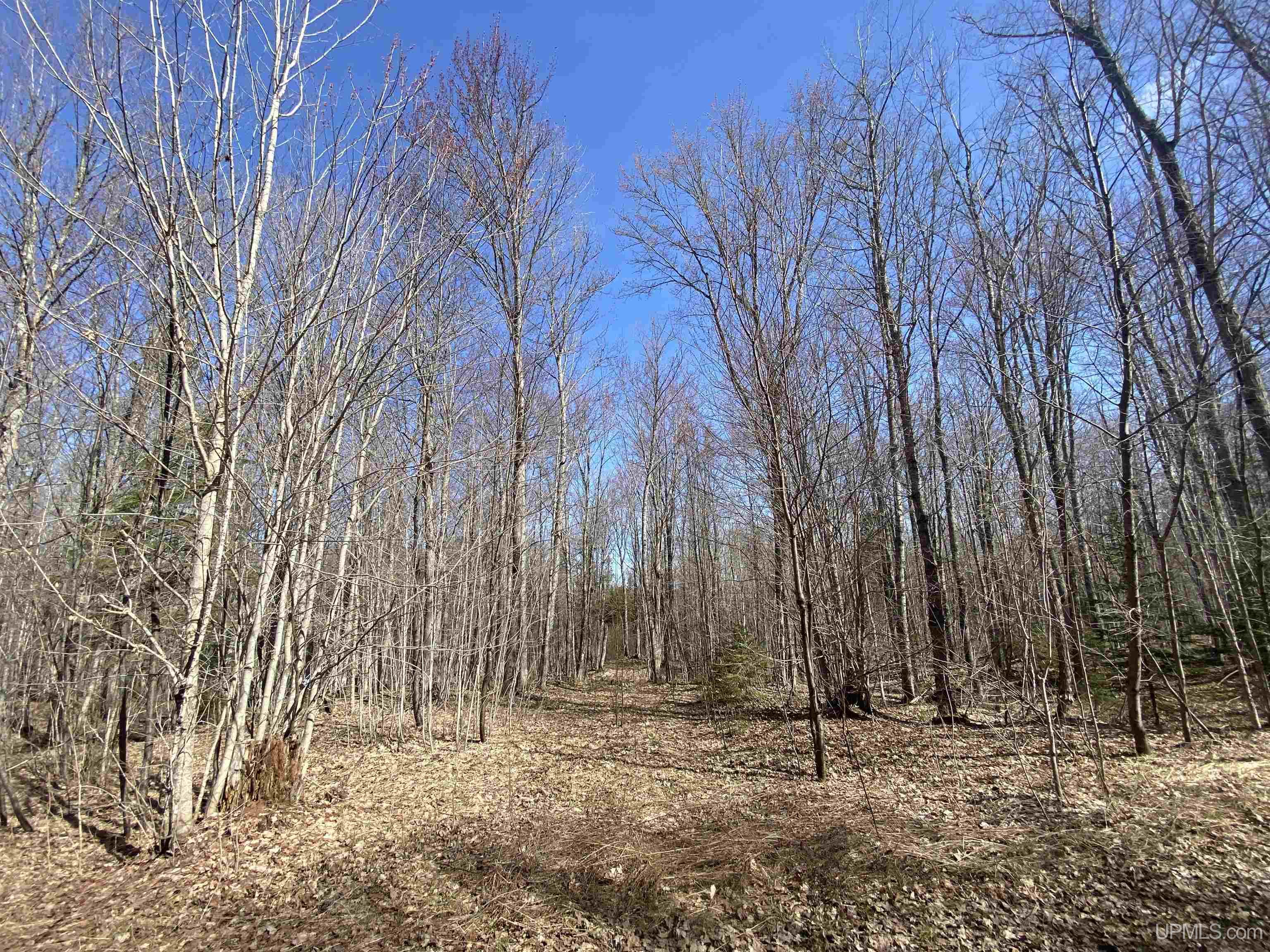 MLS 50204287 Large photo number 29 