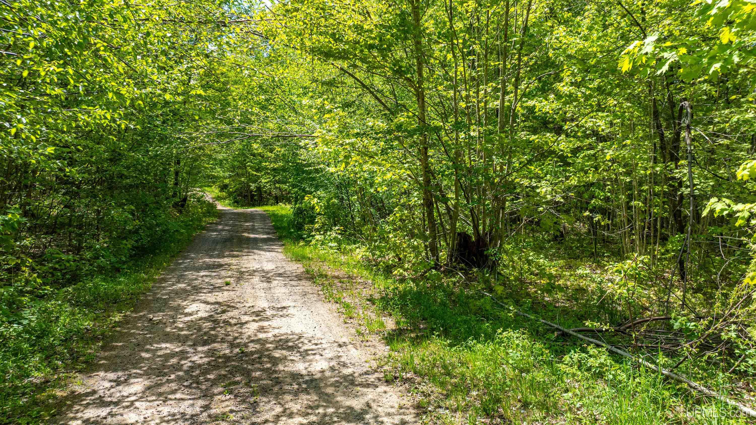 MLS 50204287 Large photo number 4 