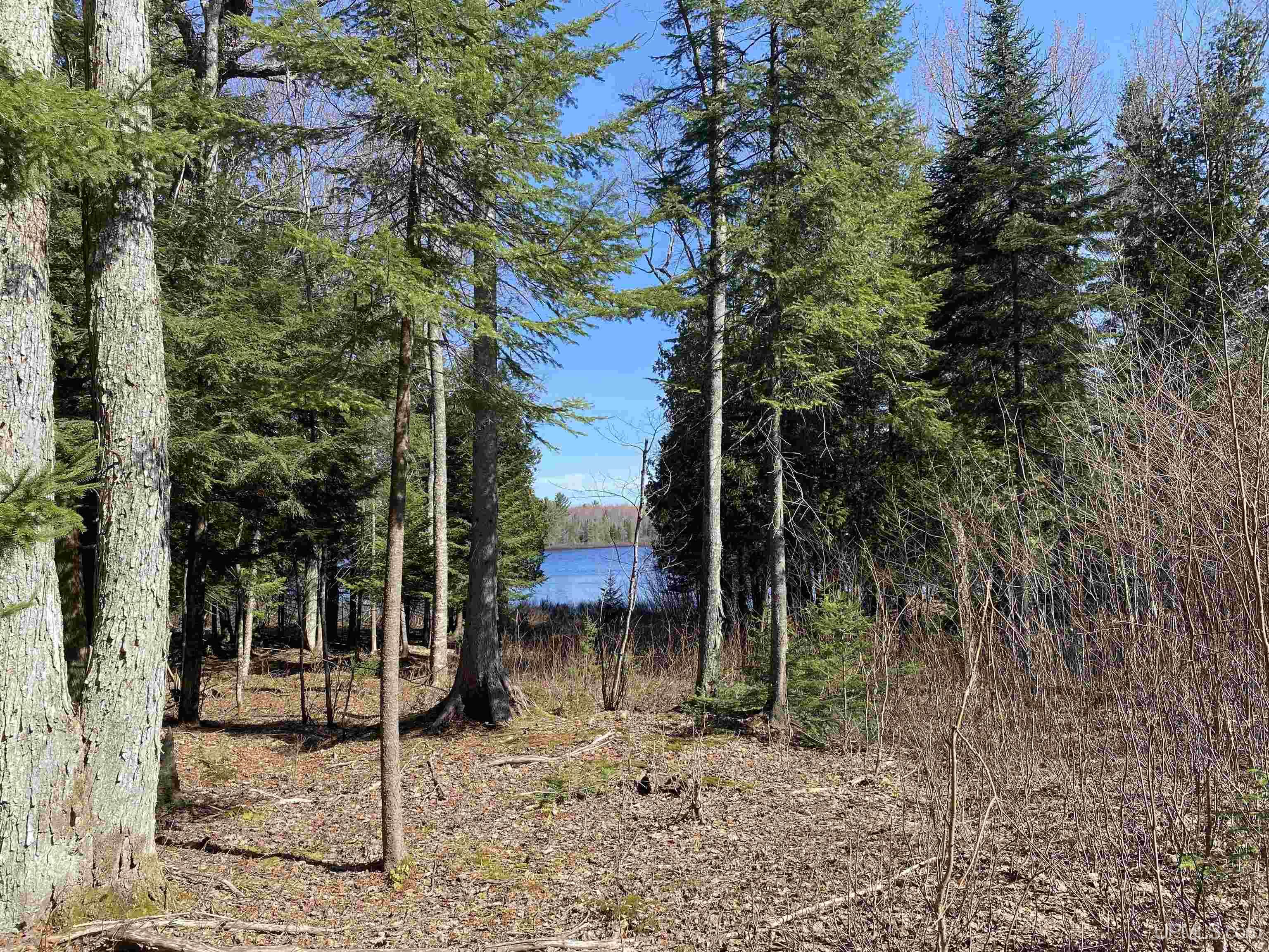 MLS 50204287 Large photo number 8 