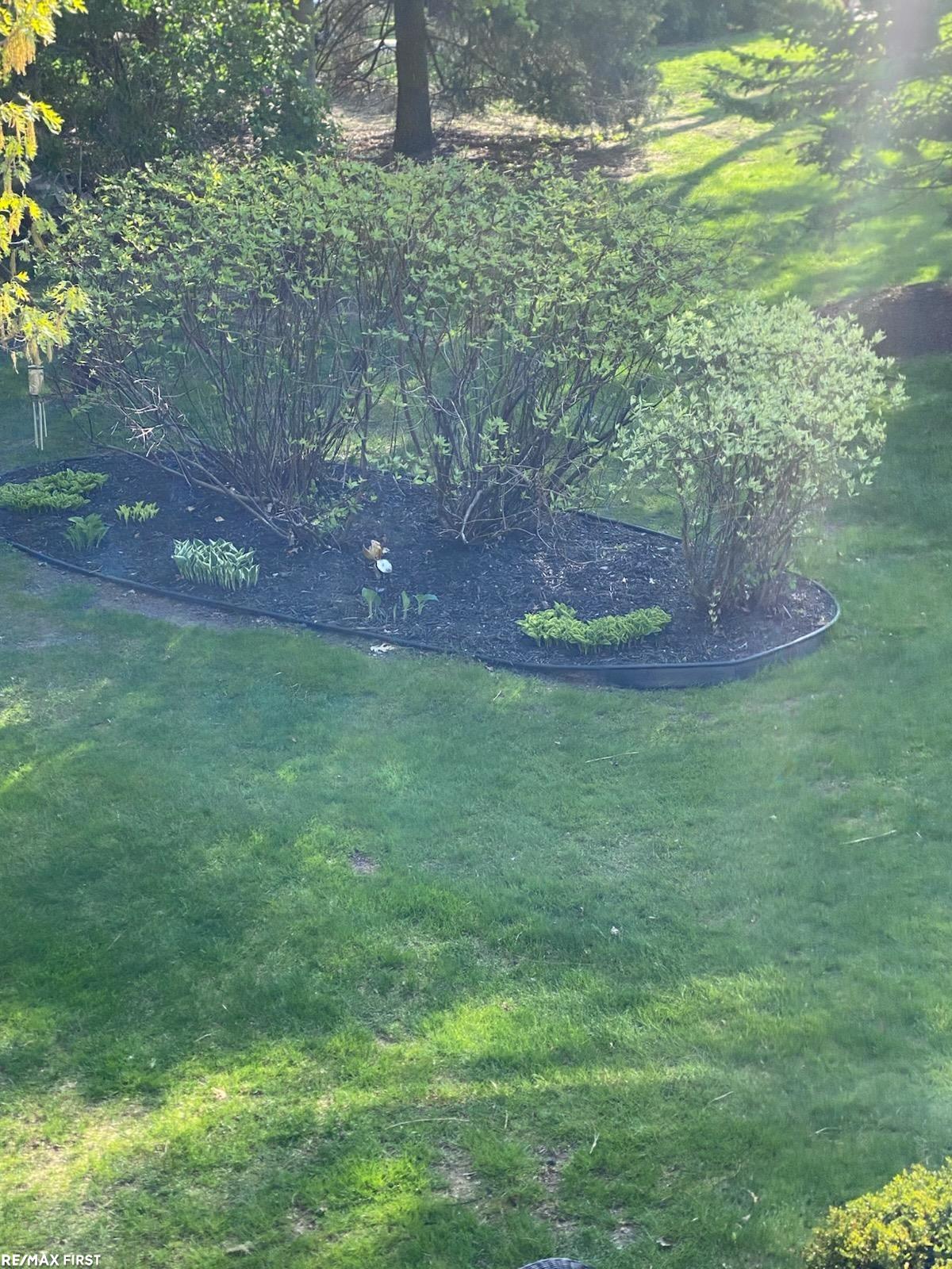 61313 Miriam Drive, Washington, MI, 48094