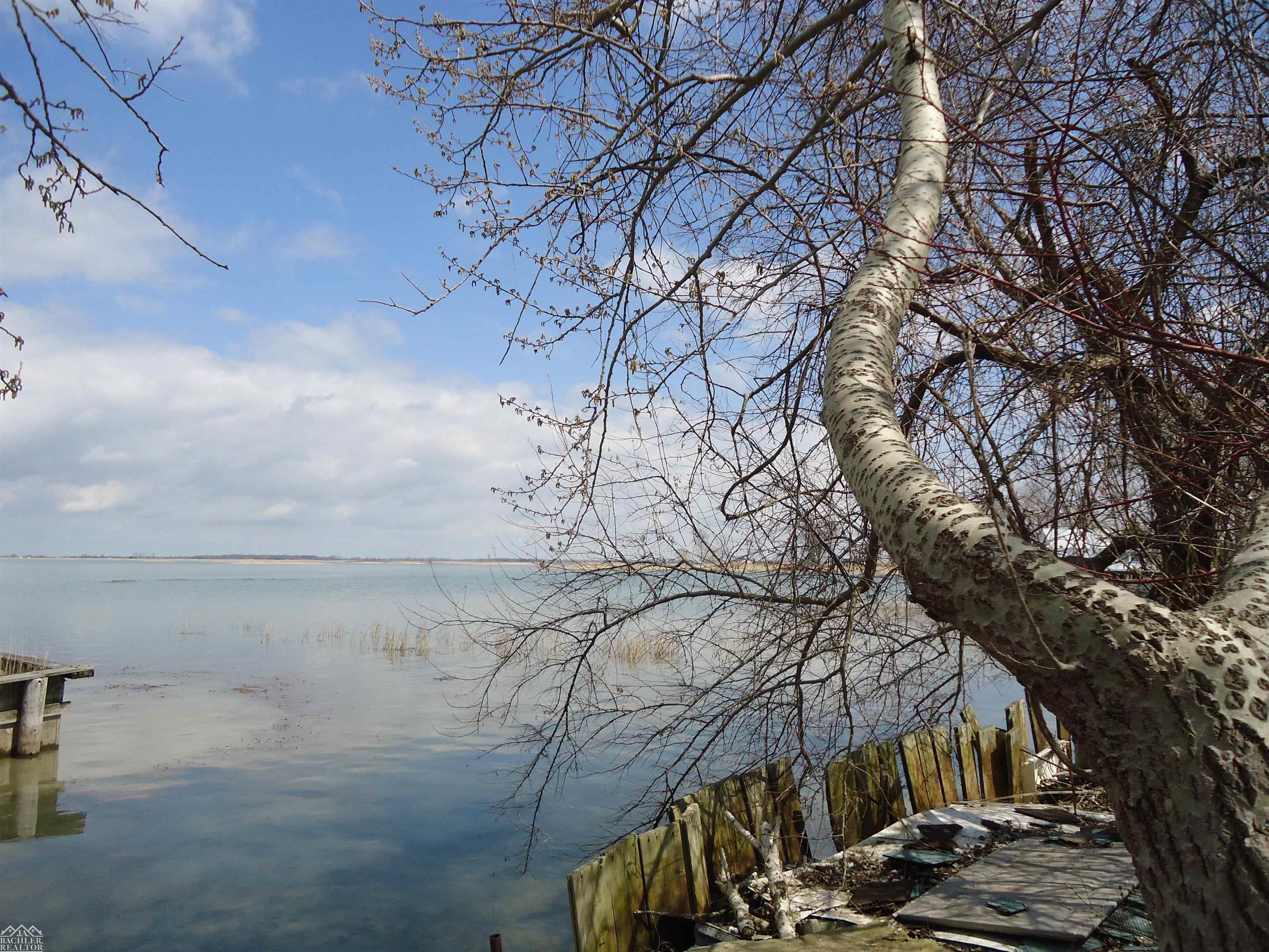 3728 Lake Street, Bridgman, MI, 49106-9735