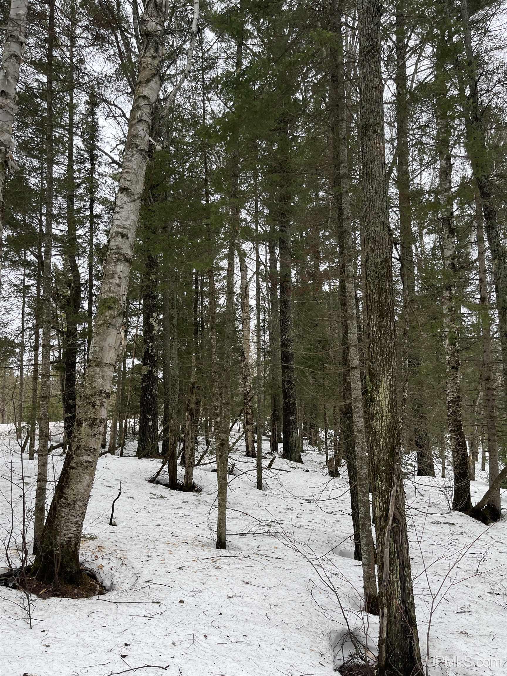 TBD Cr Aah (Red Road) Road, Ishpeming MI 49849, 50204359