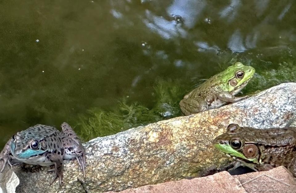 725 E Edenville Lake Road, Hope, MI, 48628