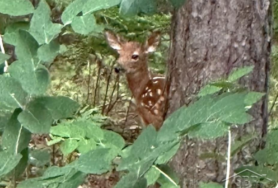 725 E Edenville Lake Road, Hope, MI, 48628