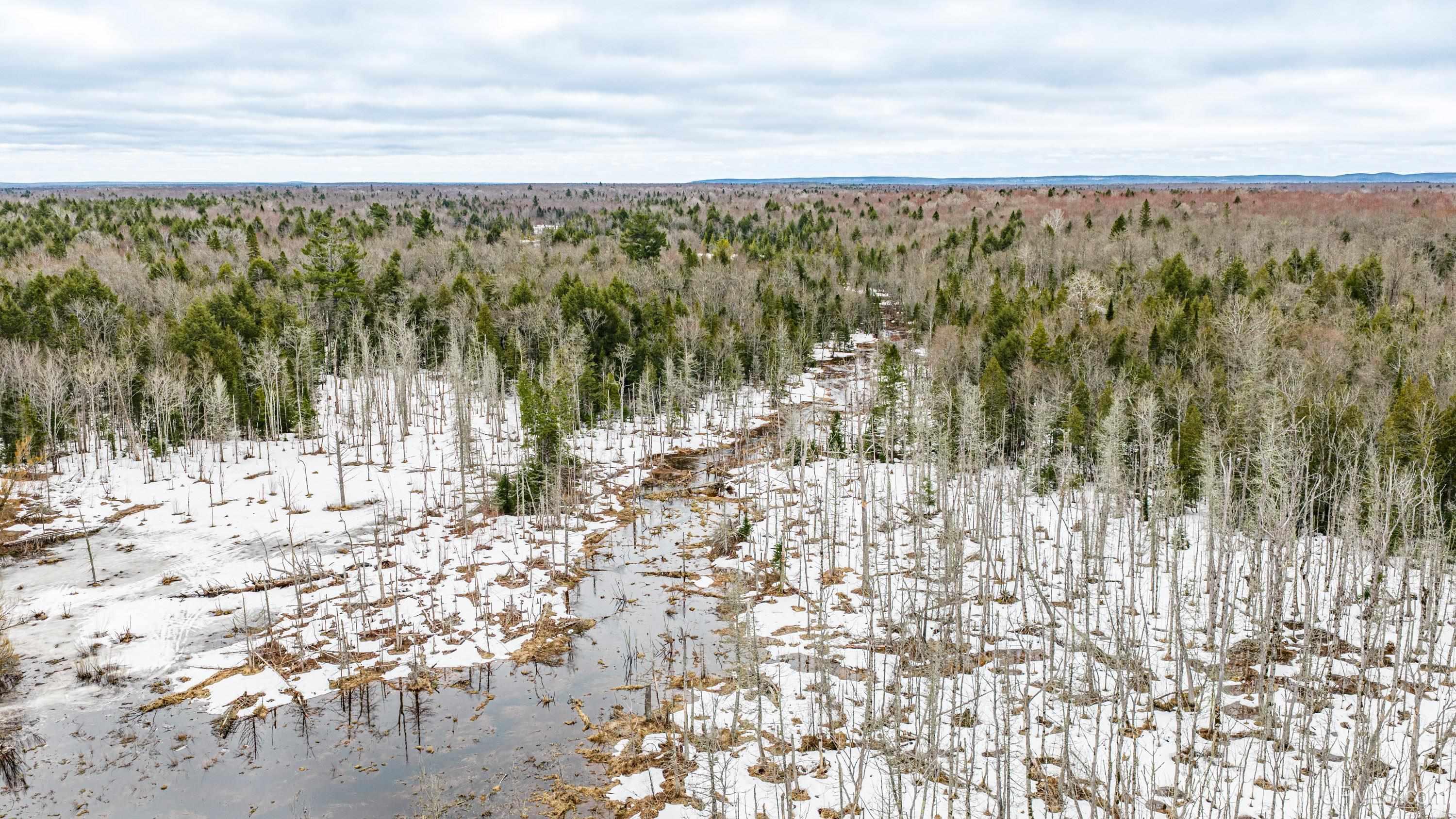 TBD Off M28 Road, Ewen, MI, 49925