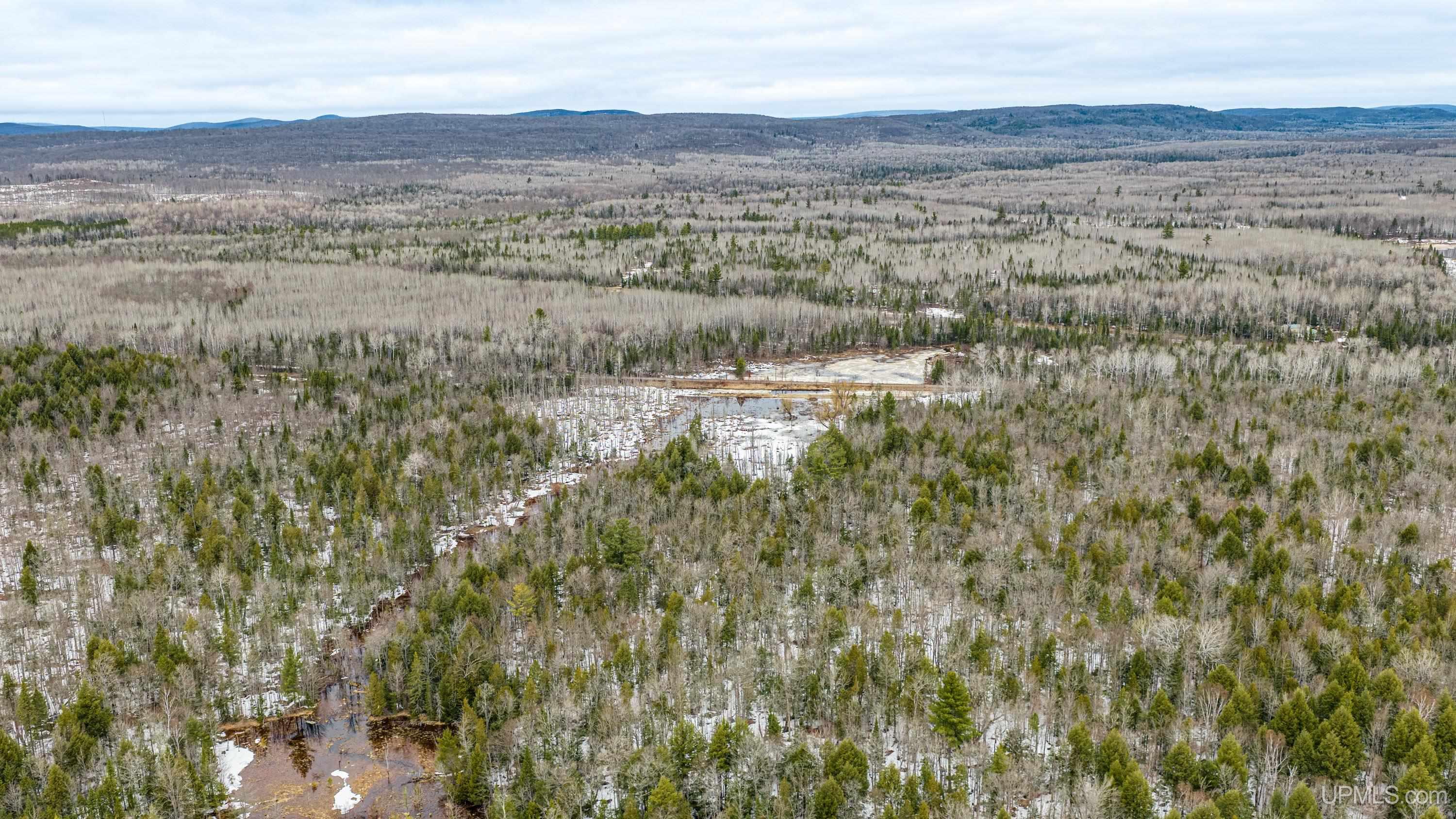 TBD Off M28 Road, Ewen, MI, 49925