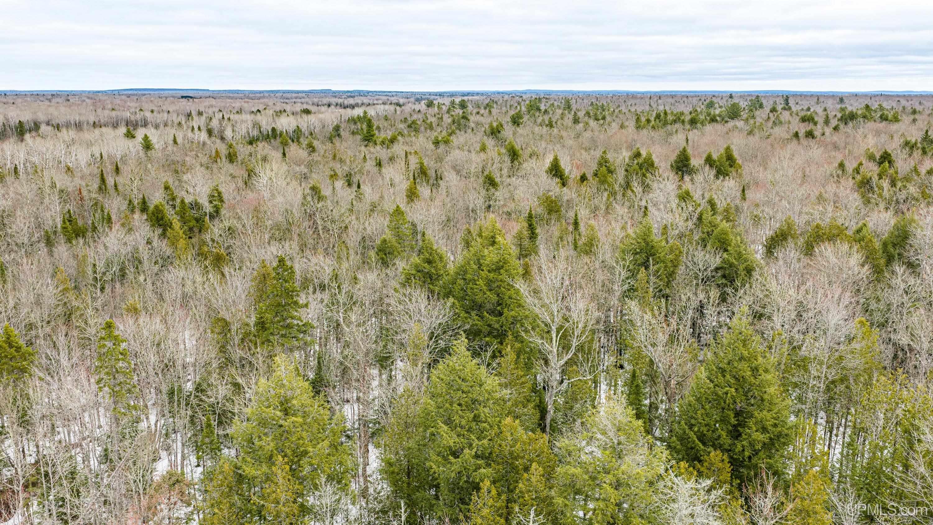 TBD Off M28 Road, Ewen, MI, 49925