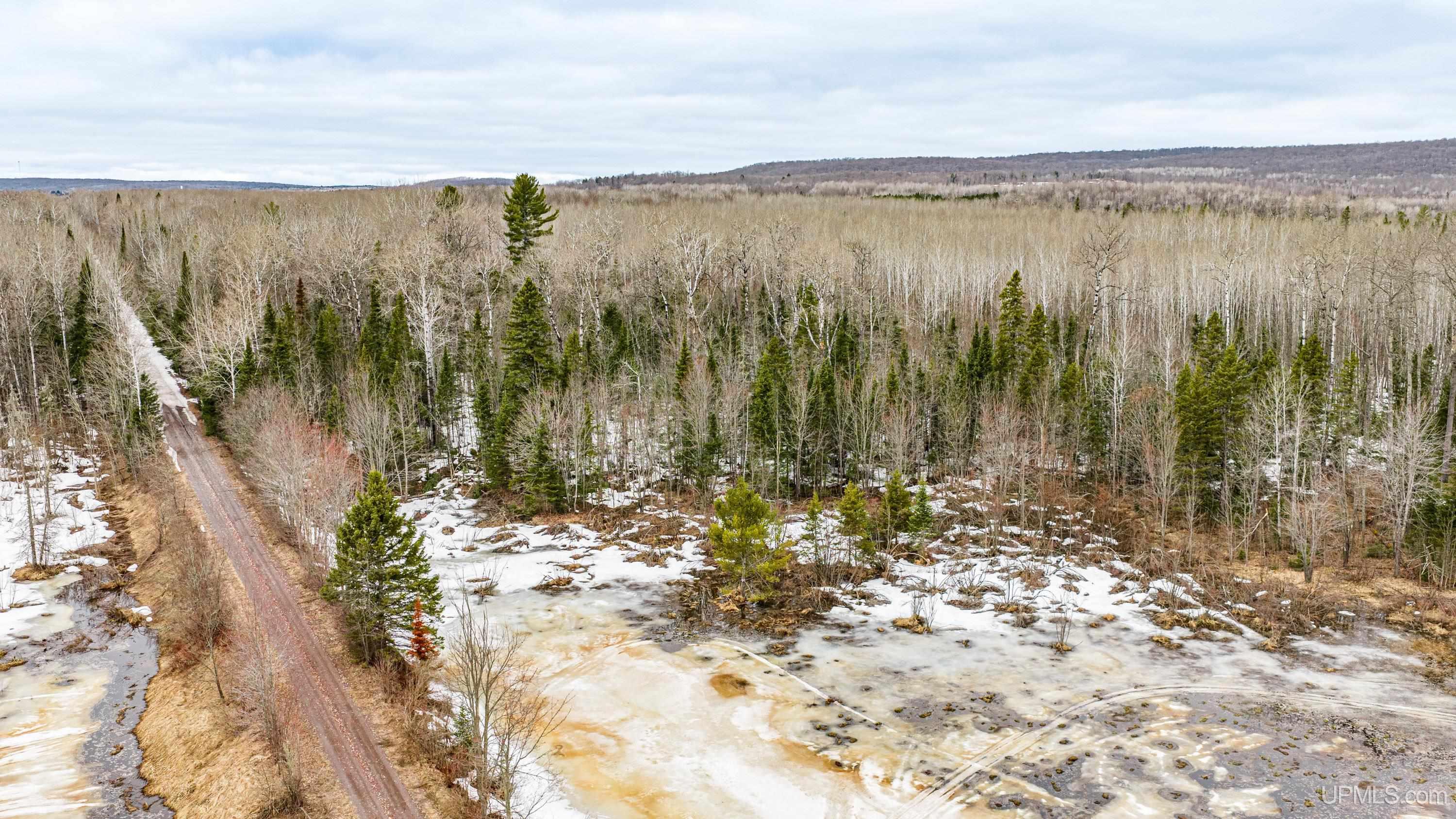 TBD Off M28 Road, Ewen, MI, 49925