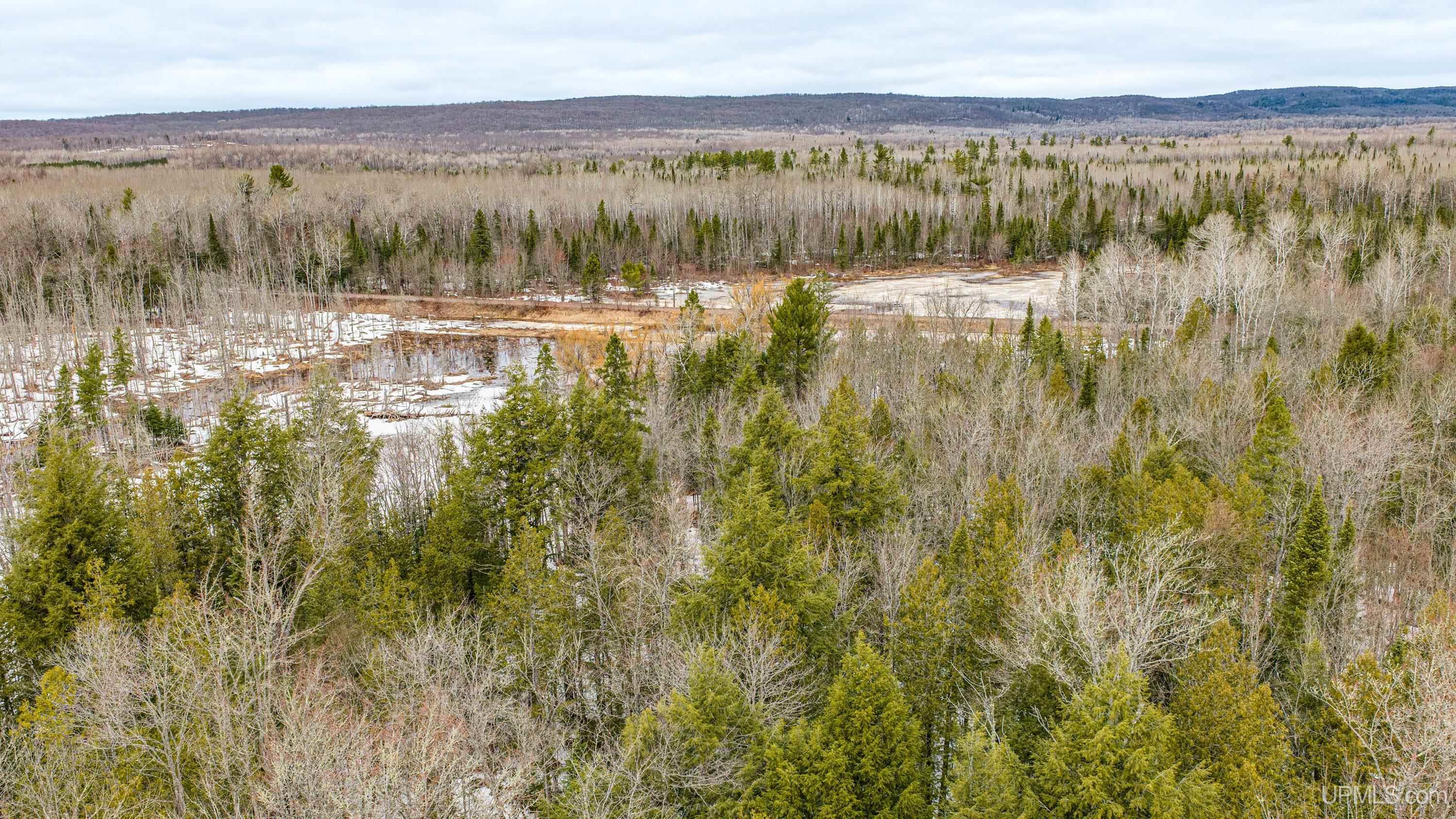 TBD Off M28 Road, Ewen, MI, 49925