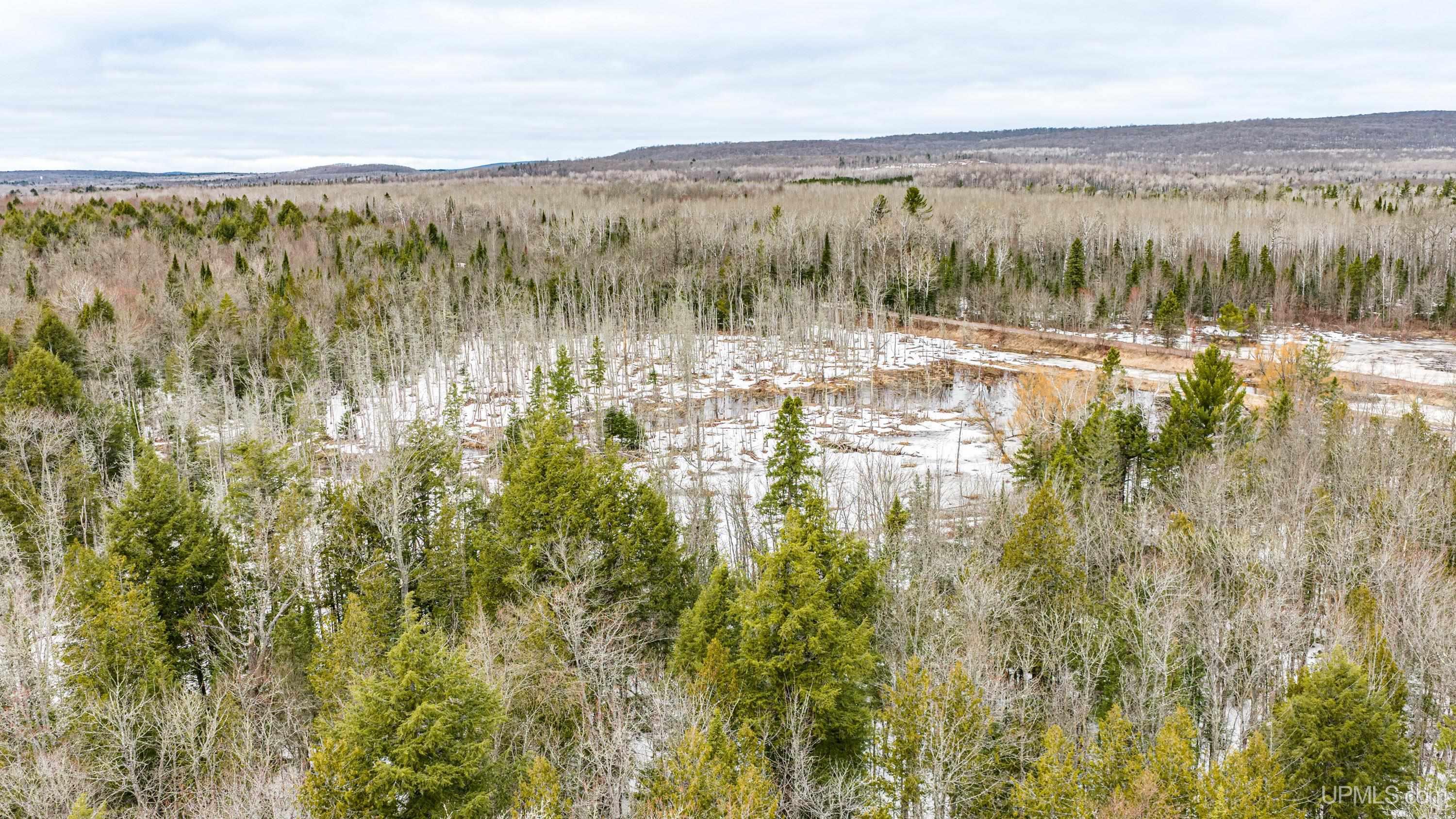 TBD Off M28 Road, Ewen, MI, 49925