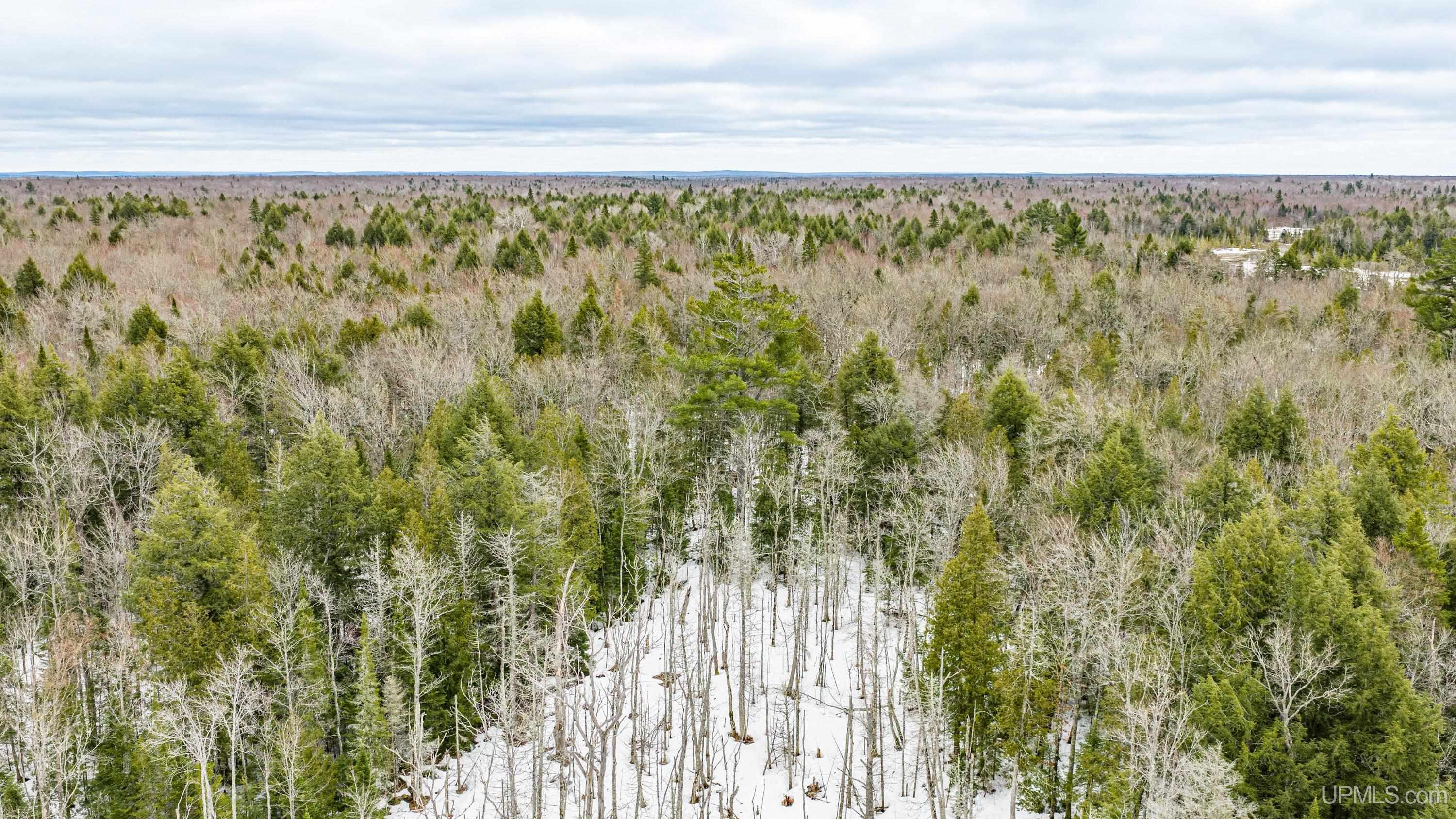 TBD Off M28 Road, Ewen, MI, 49925