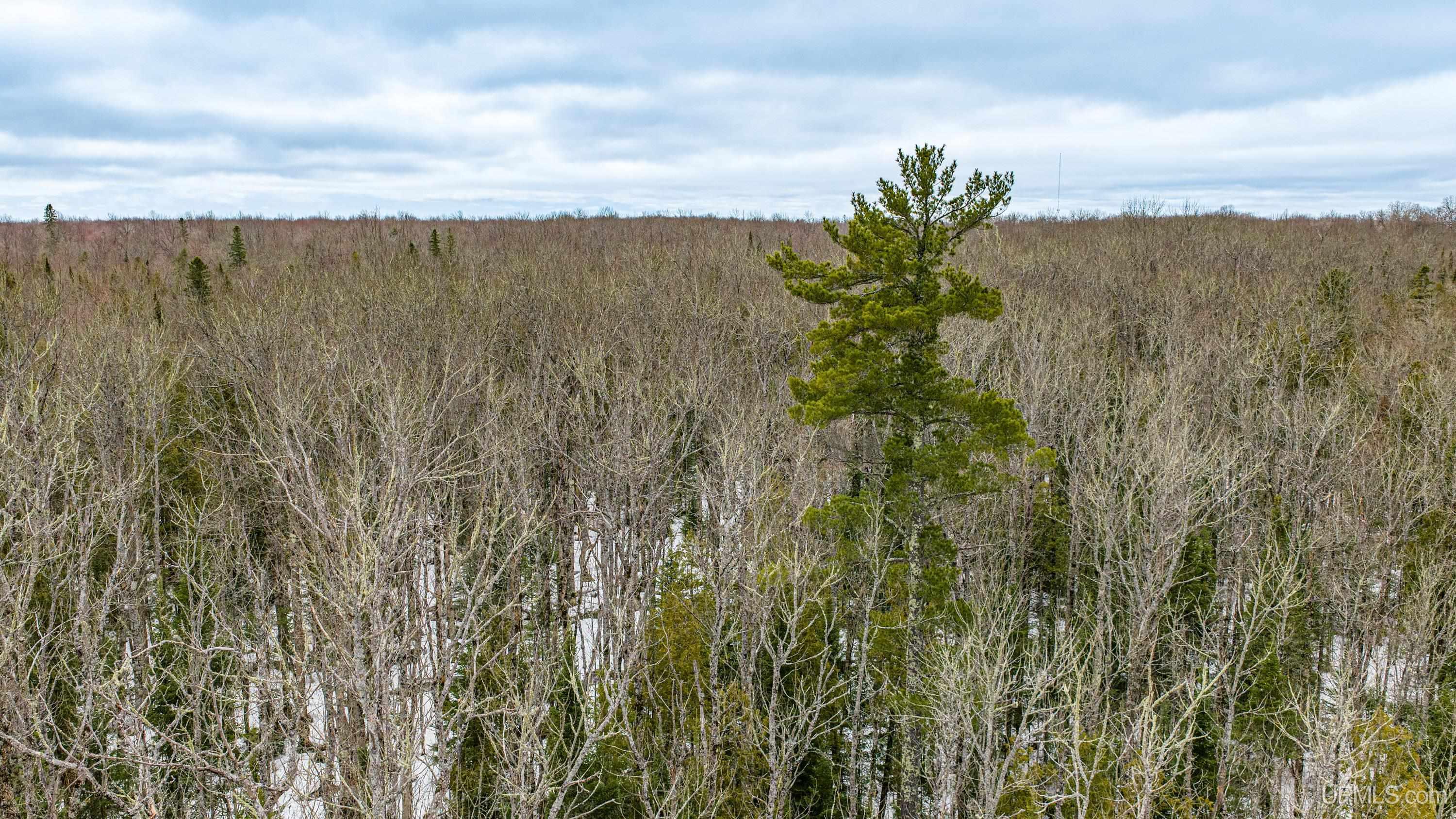 TBD33 E Shore Road, Bergland, MI, 49910