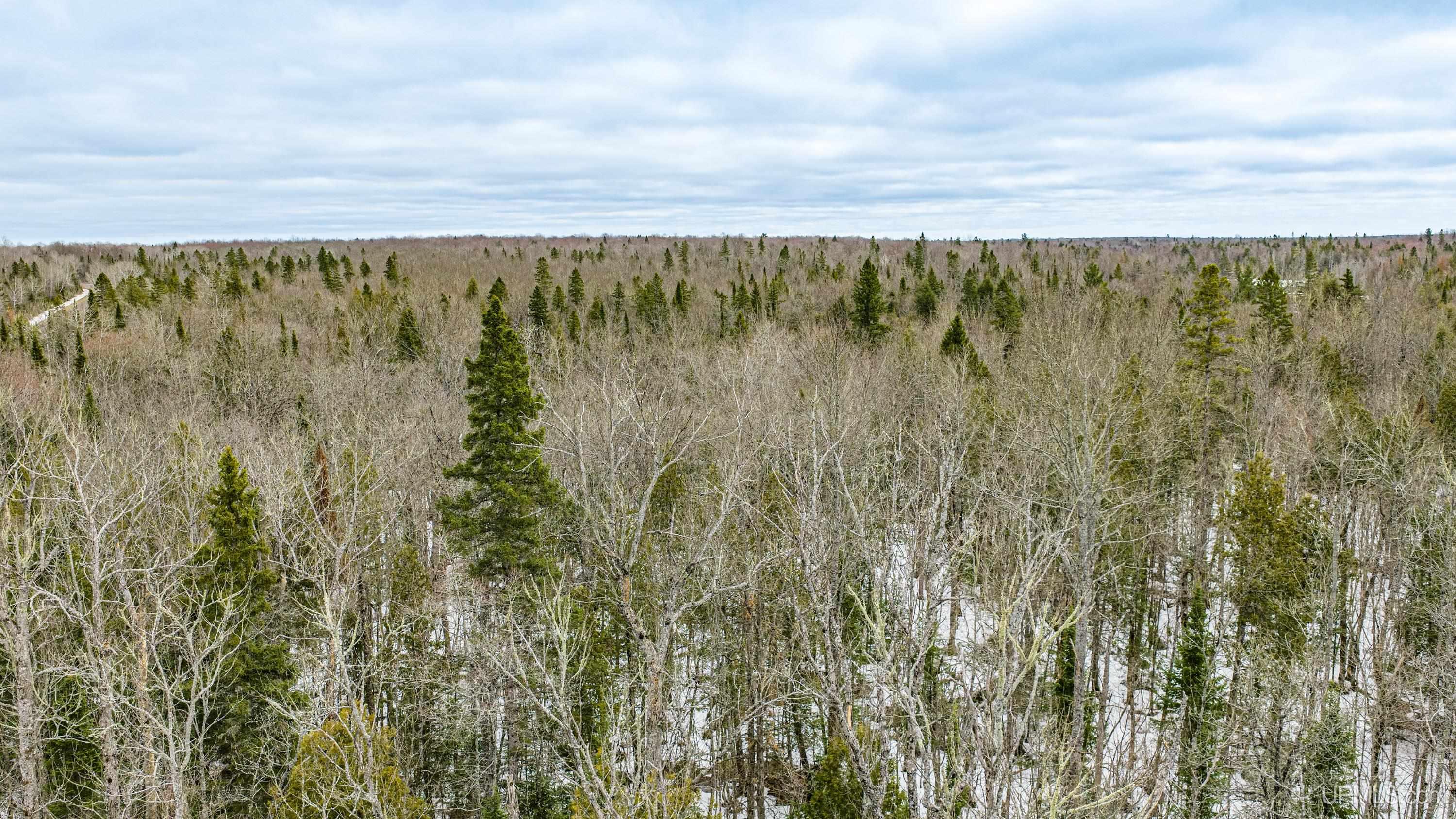 TBD33 E Shore Road, Bergland, MI, 49910