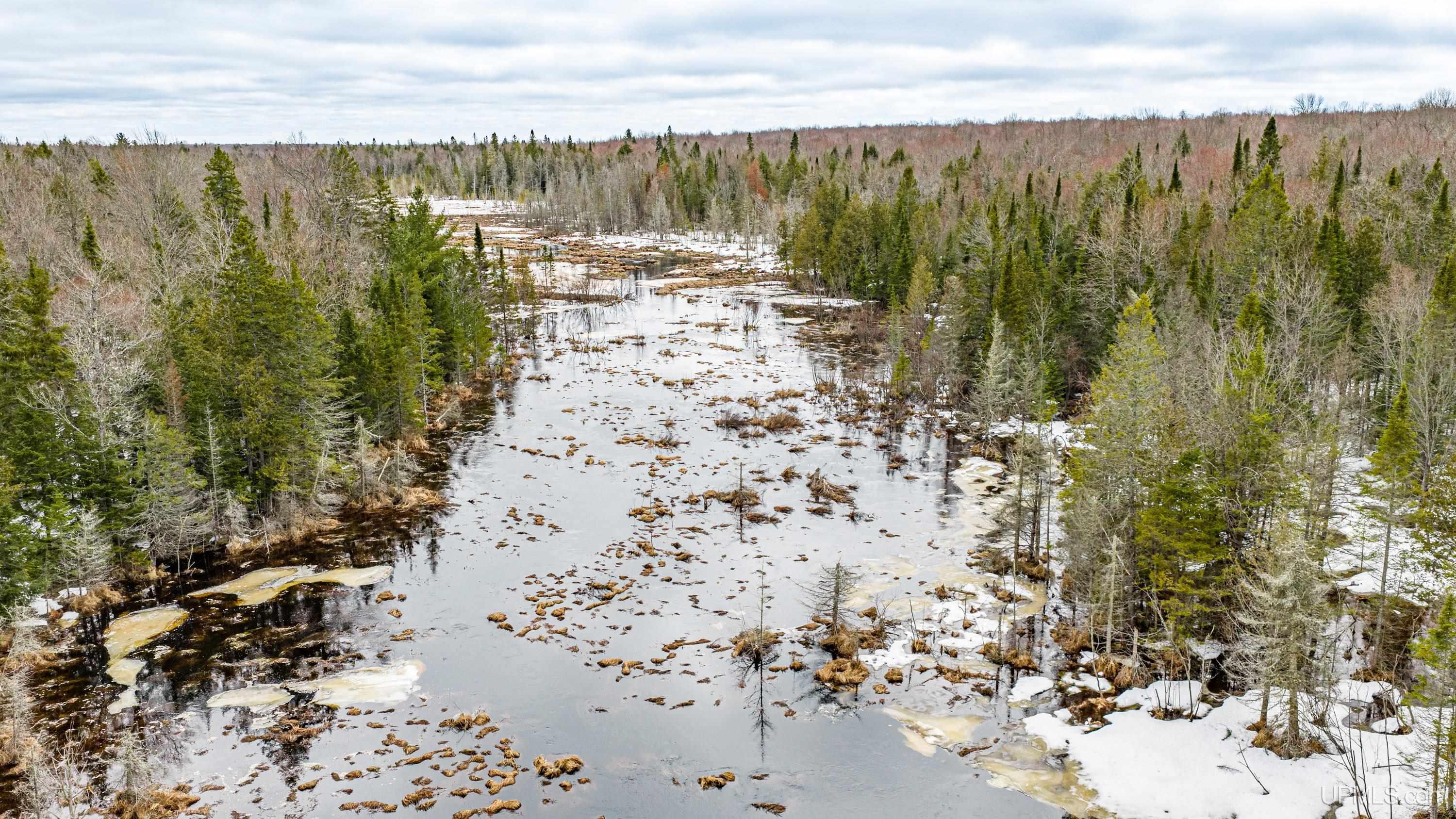 TBD33 E Shore Road, Bergland, MI, 49910