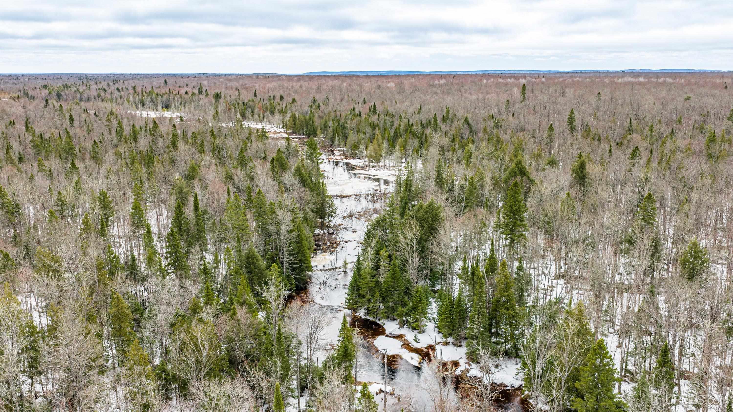 TBD33 E Shore Road, Bergland, MI, 49910