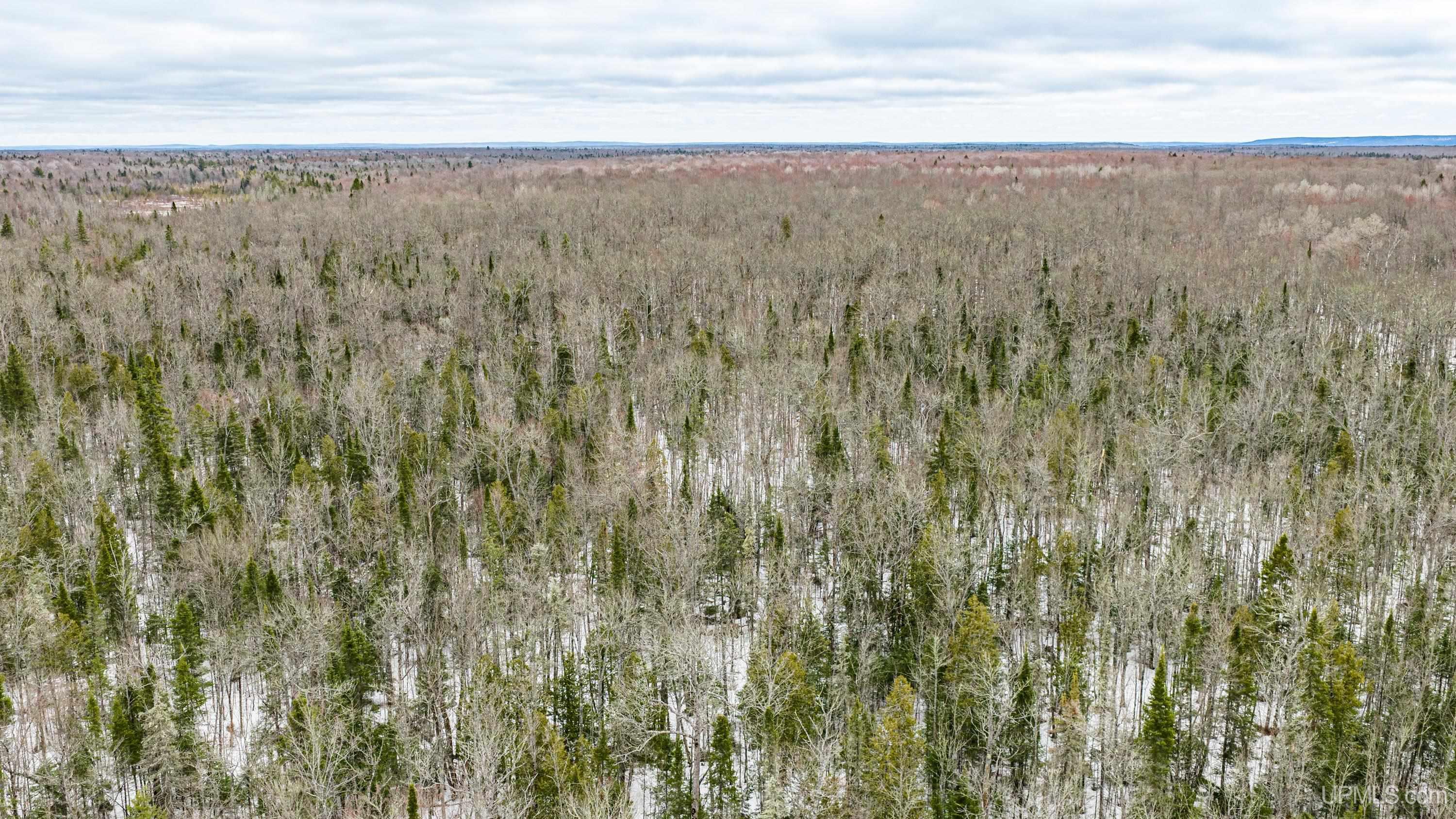 TBD33 E Shore Road, Bergland, MI, 49910