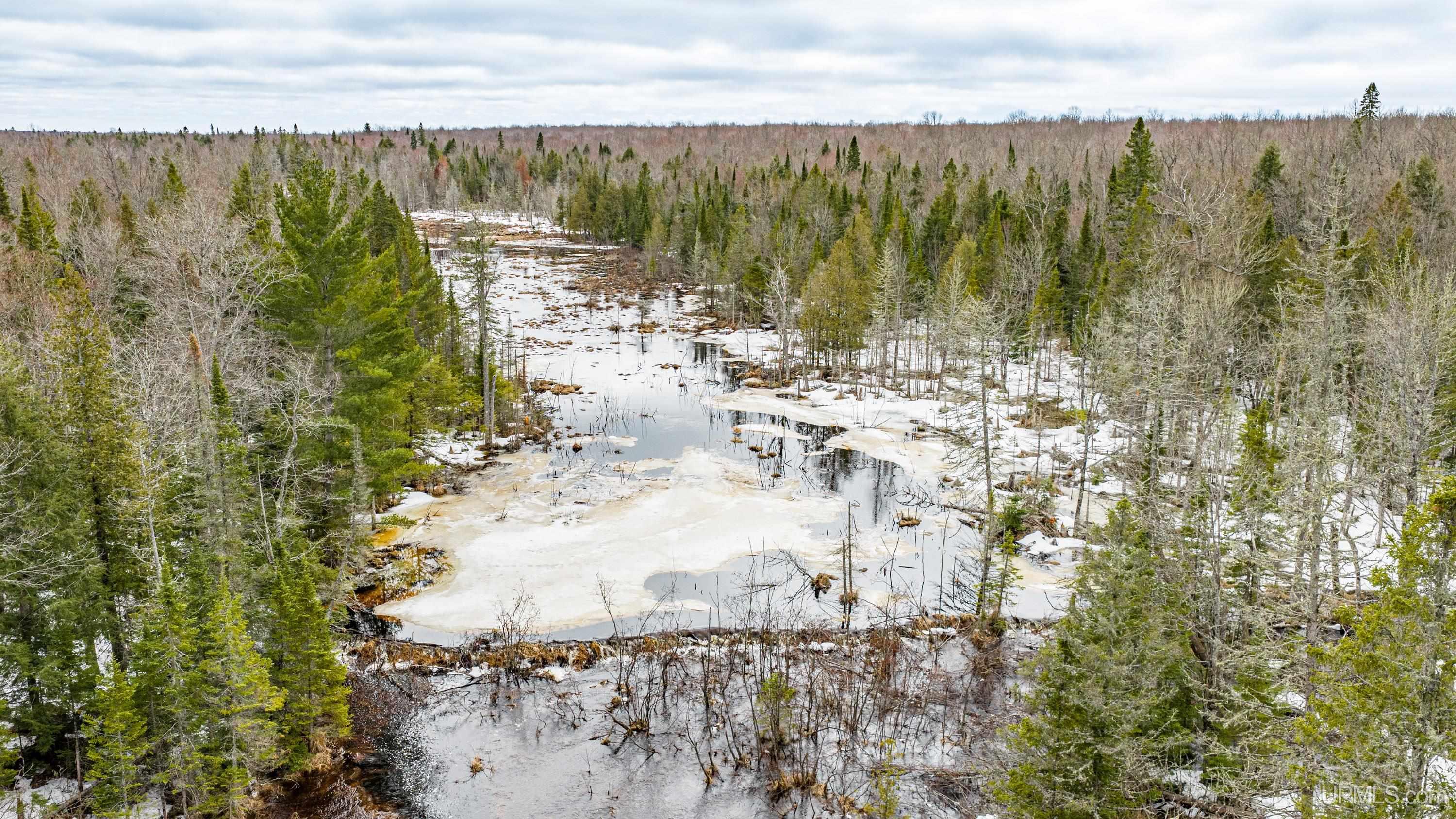 TBD33 E Shore Road, Bergland, MI, 49910