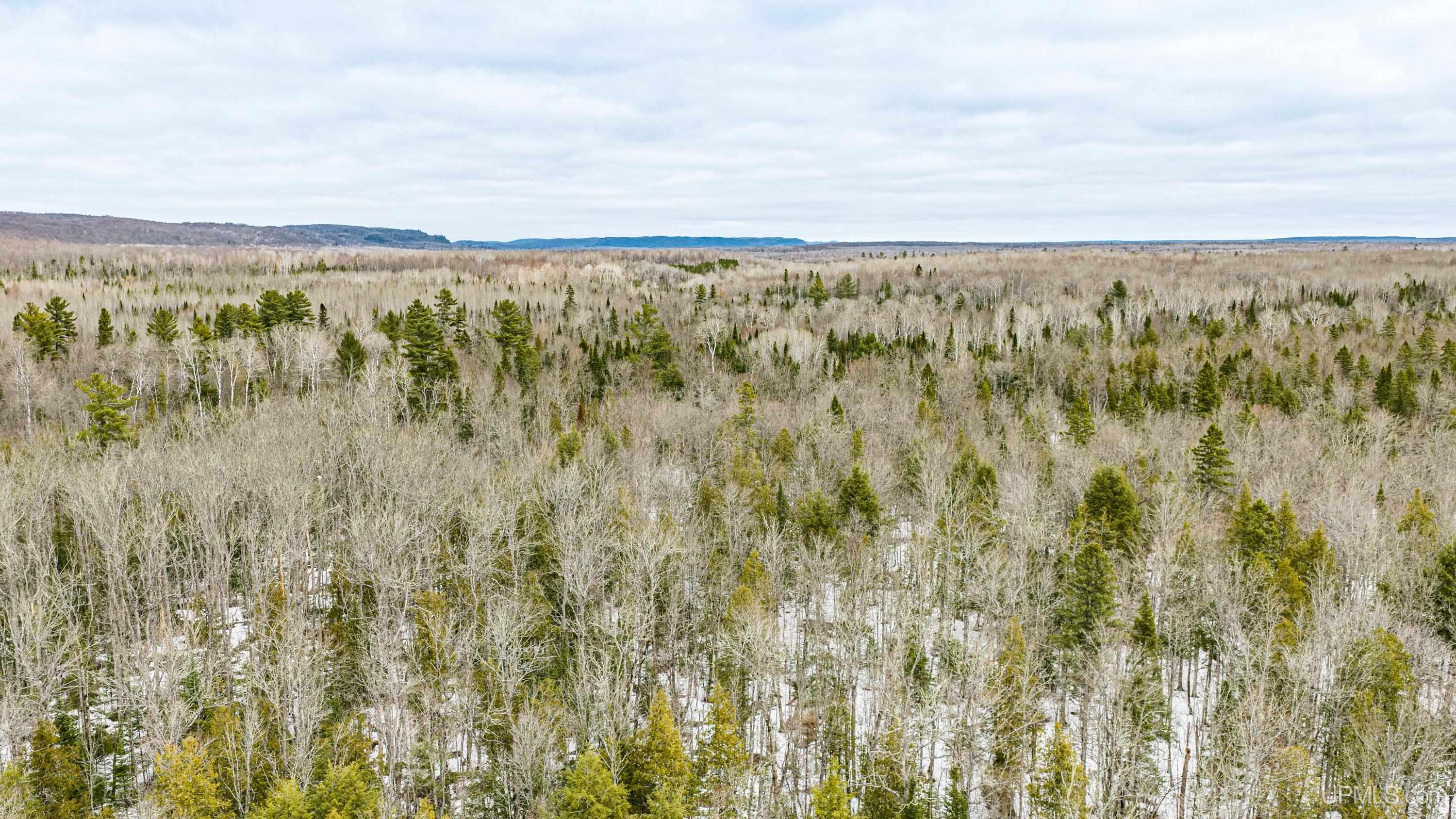 TBD33 E Shore Road, Bergland, MI, 49910