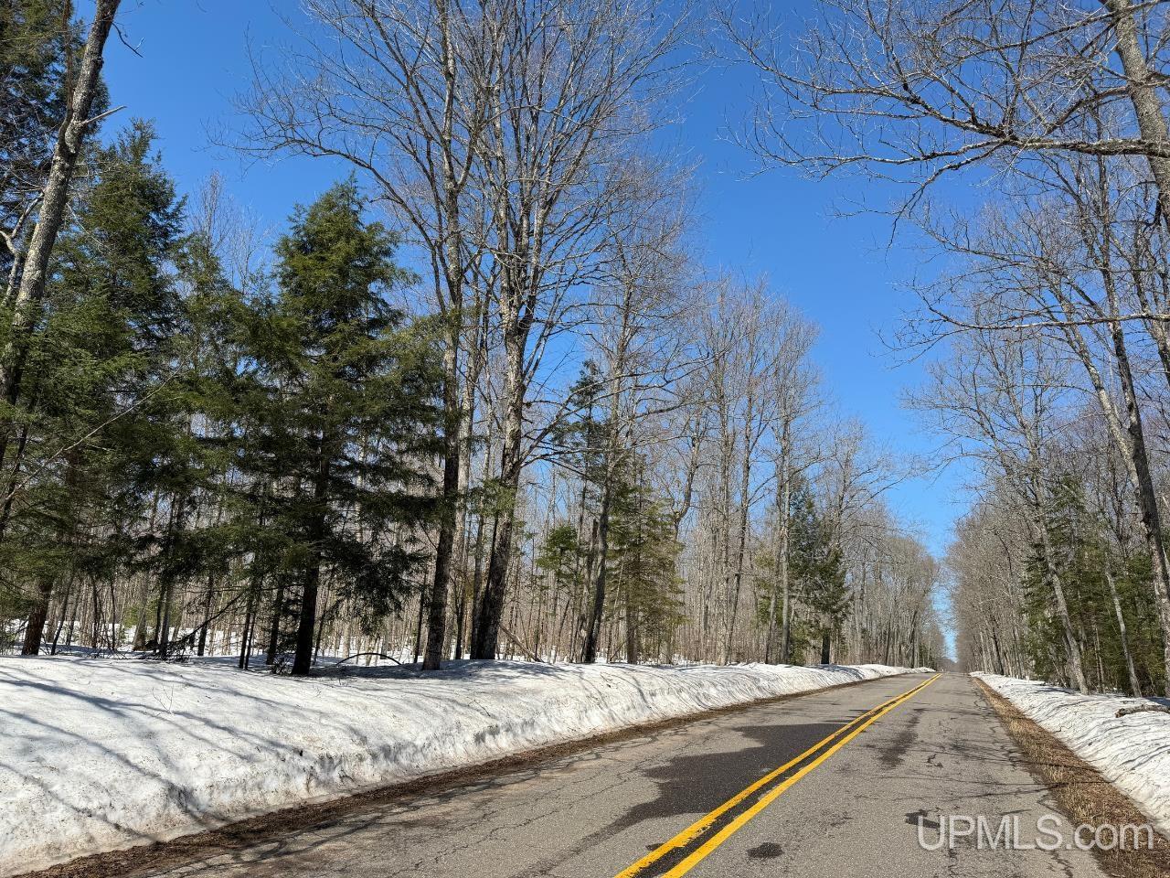 40 Acres Dukes Road, Skandia, MI, 49885