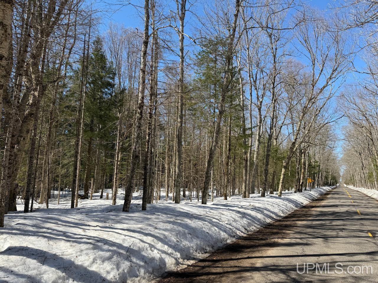 40 Acres Dukes Road, Skandia, MI, 49885