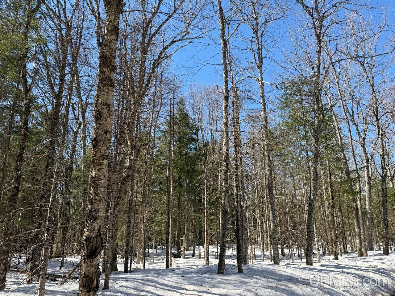 40 Acres Dukes Road, Skandia, MI, 49885