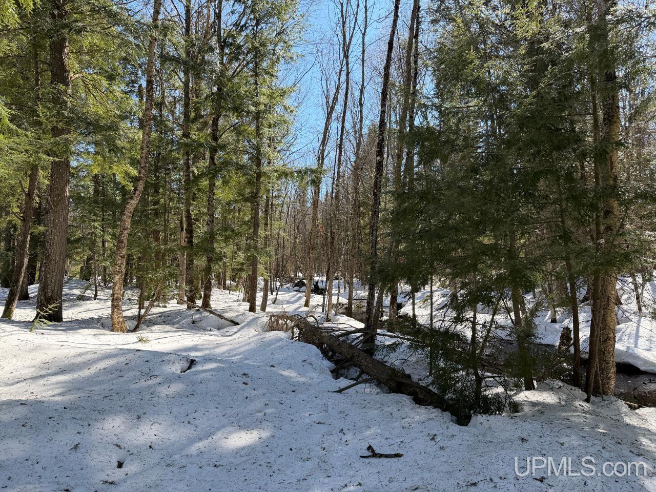 40 Acres Dukes Road, Skandia, MI, 49885