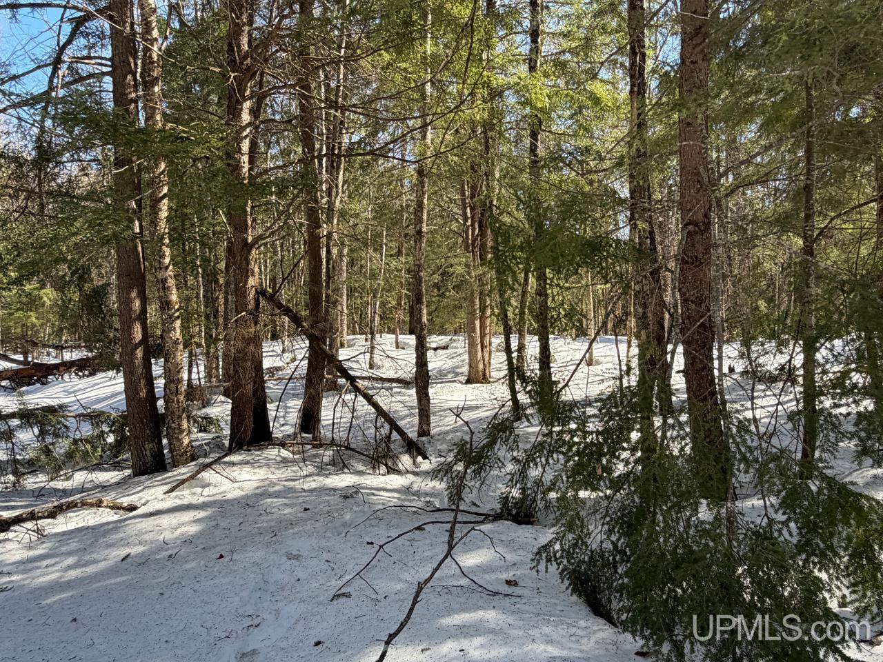 40 Acres Dukes Road, Skandia, MI, 49885