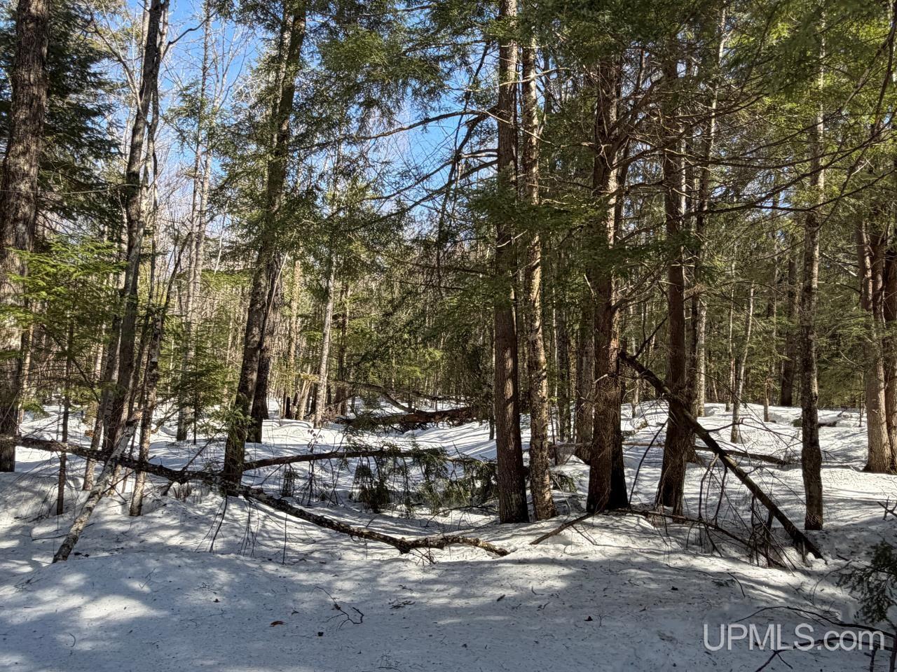 40 Acres Dukes Road, Skandia, MI, 49885