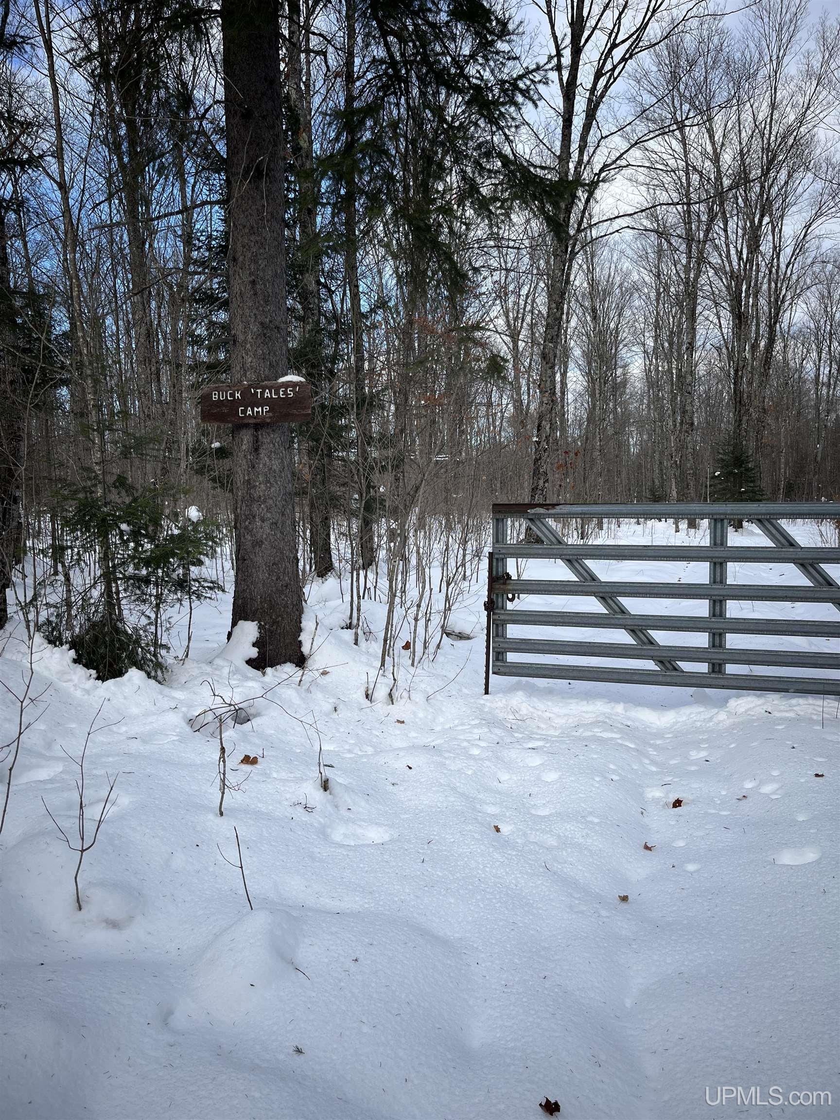 TBD Cable Lake Road, Crystal Falls, MI, 49920