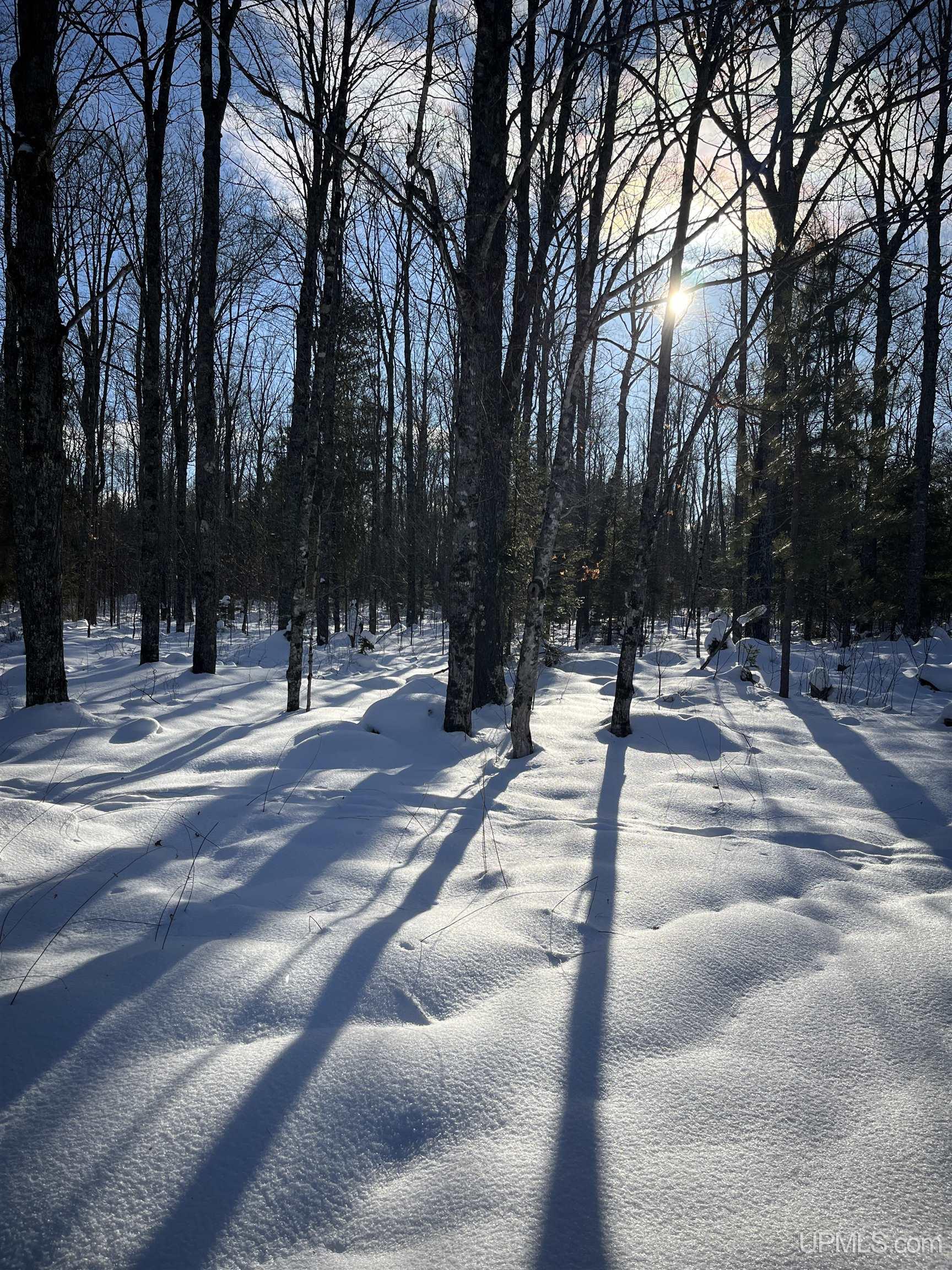 TBD Cable Lake Road, Crystal Falls, MI, 49920