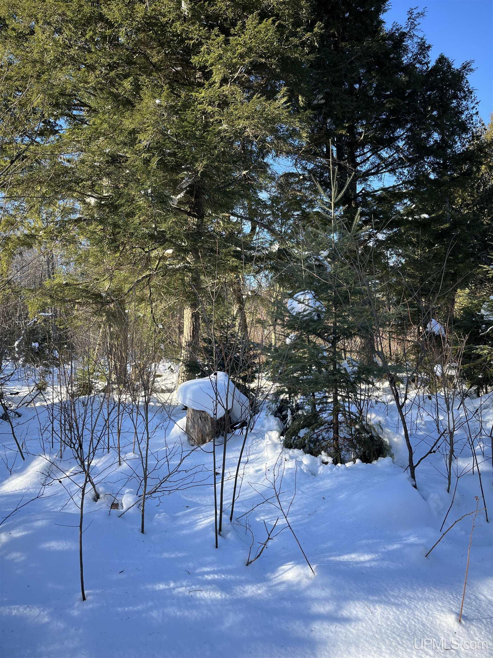 TBD Cable Lake Road, Crystal Falls, MI, 49920