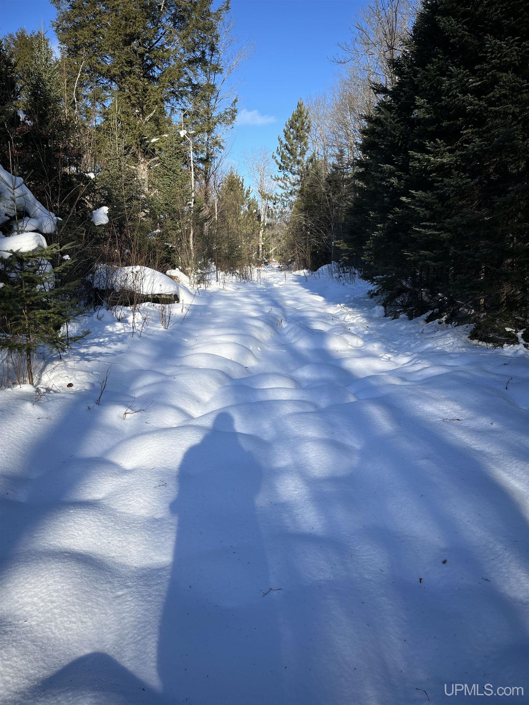 TBD Cable Lake Road, Crystal Falls, MI, 49920
