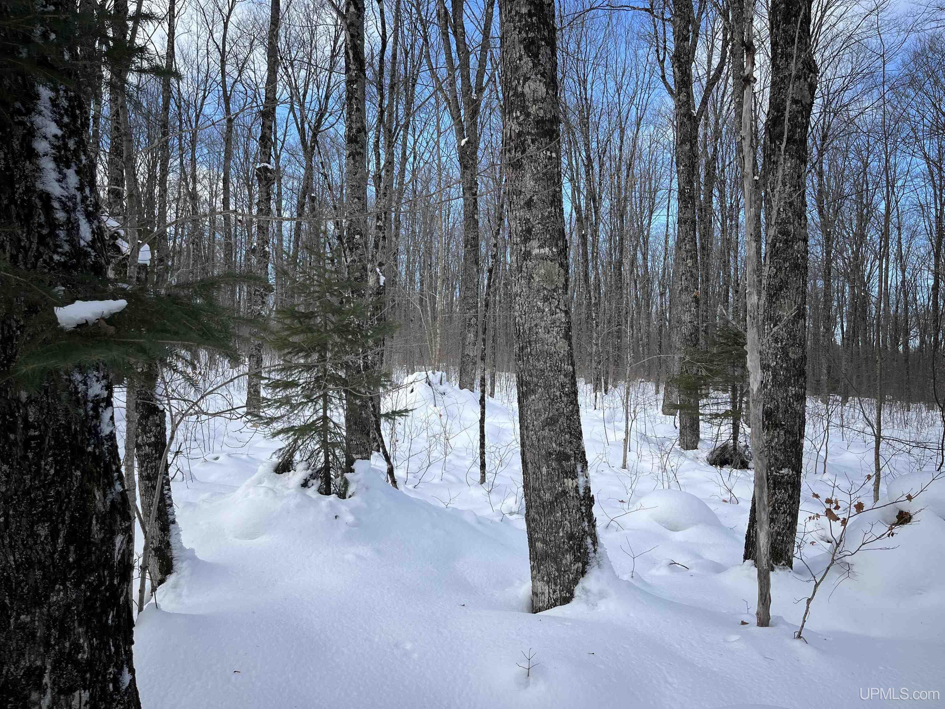 TBD Cable Lake Road, Crystal Falls, MI, 49920