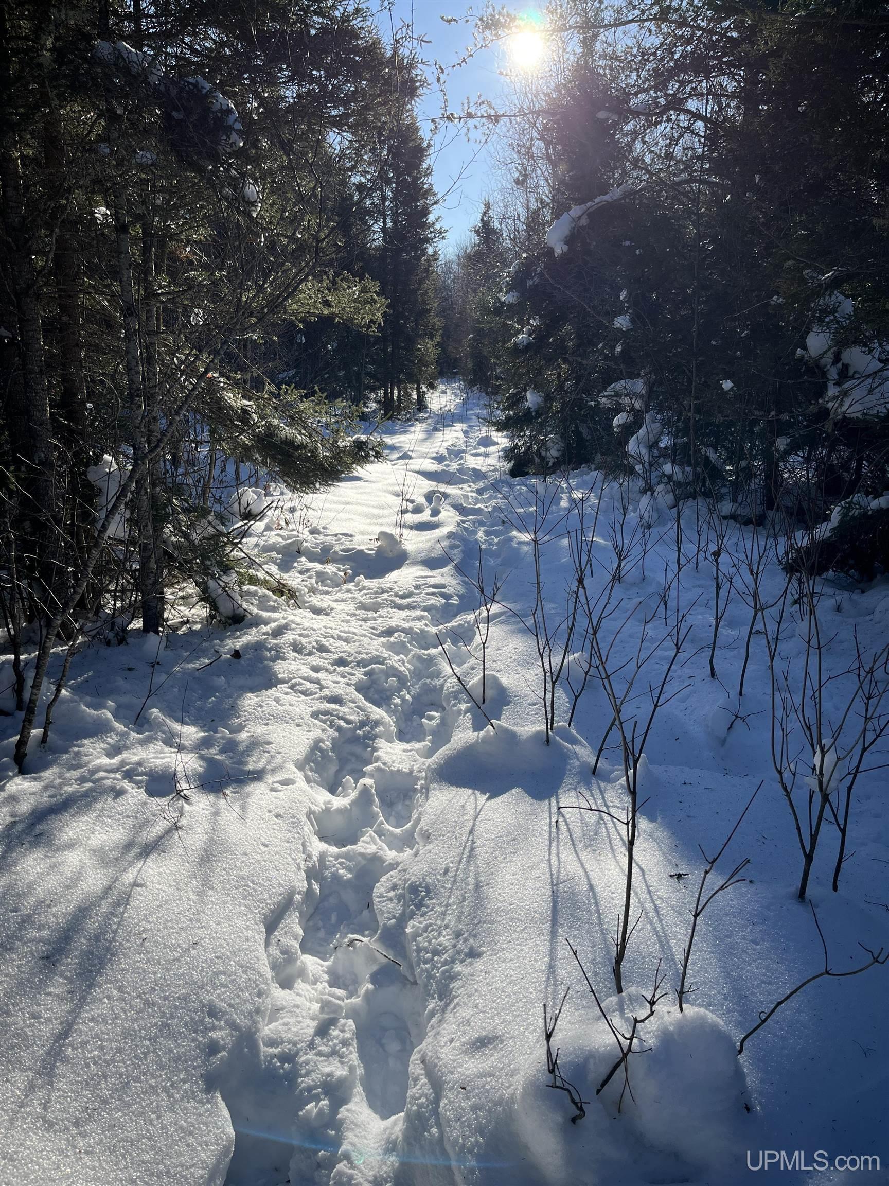 TBD Cable Lake Road, Crystal Falls, MI, 49920