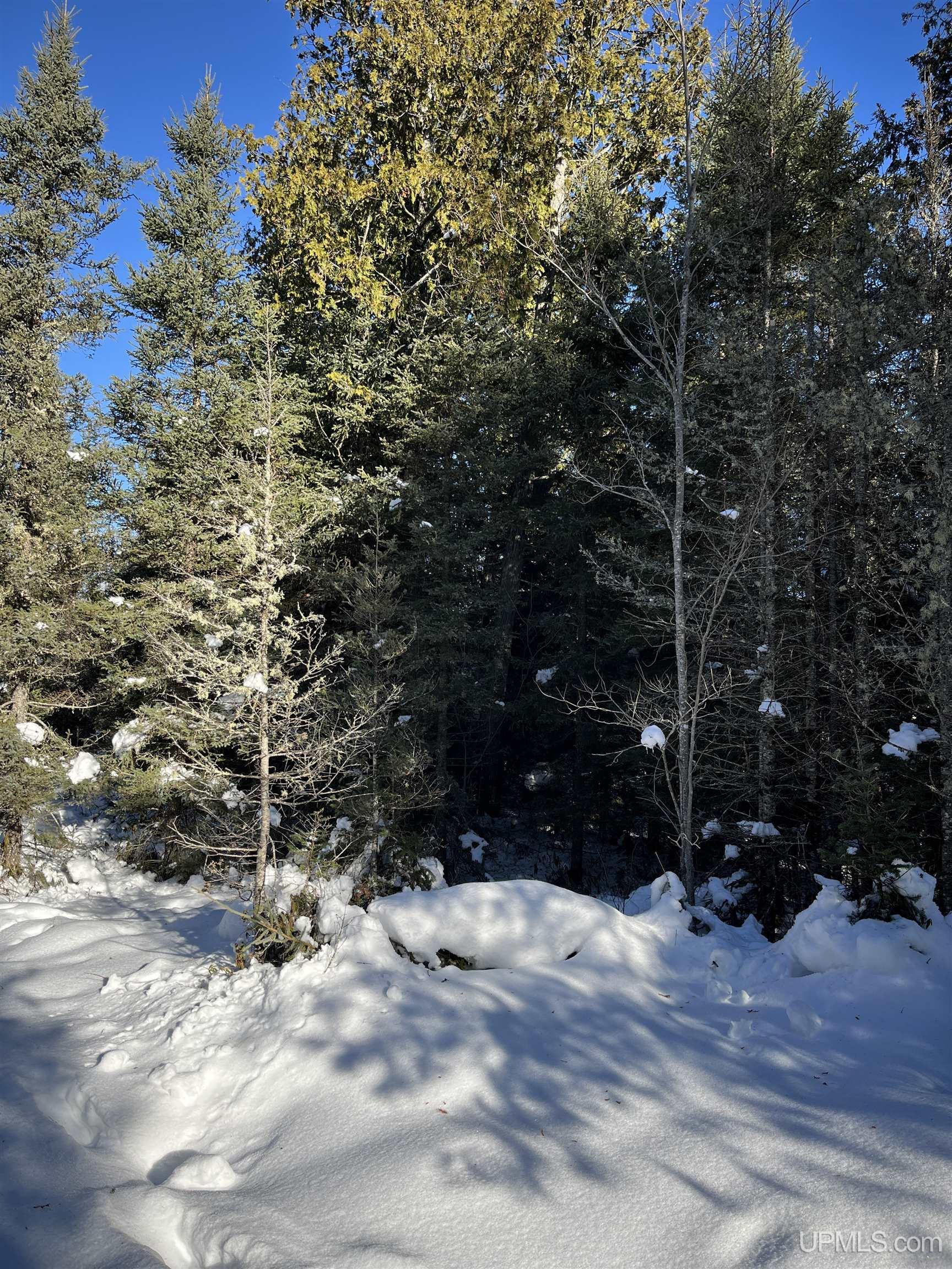 TBD Cable Lake Road, Crystal Falls, MI, 49920