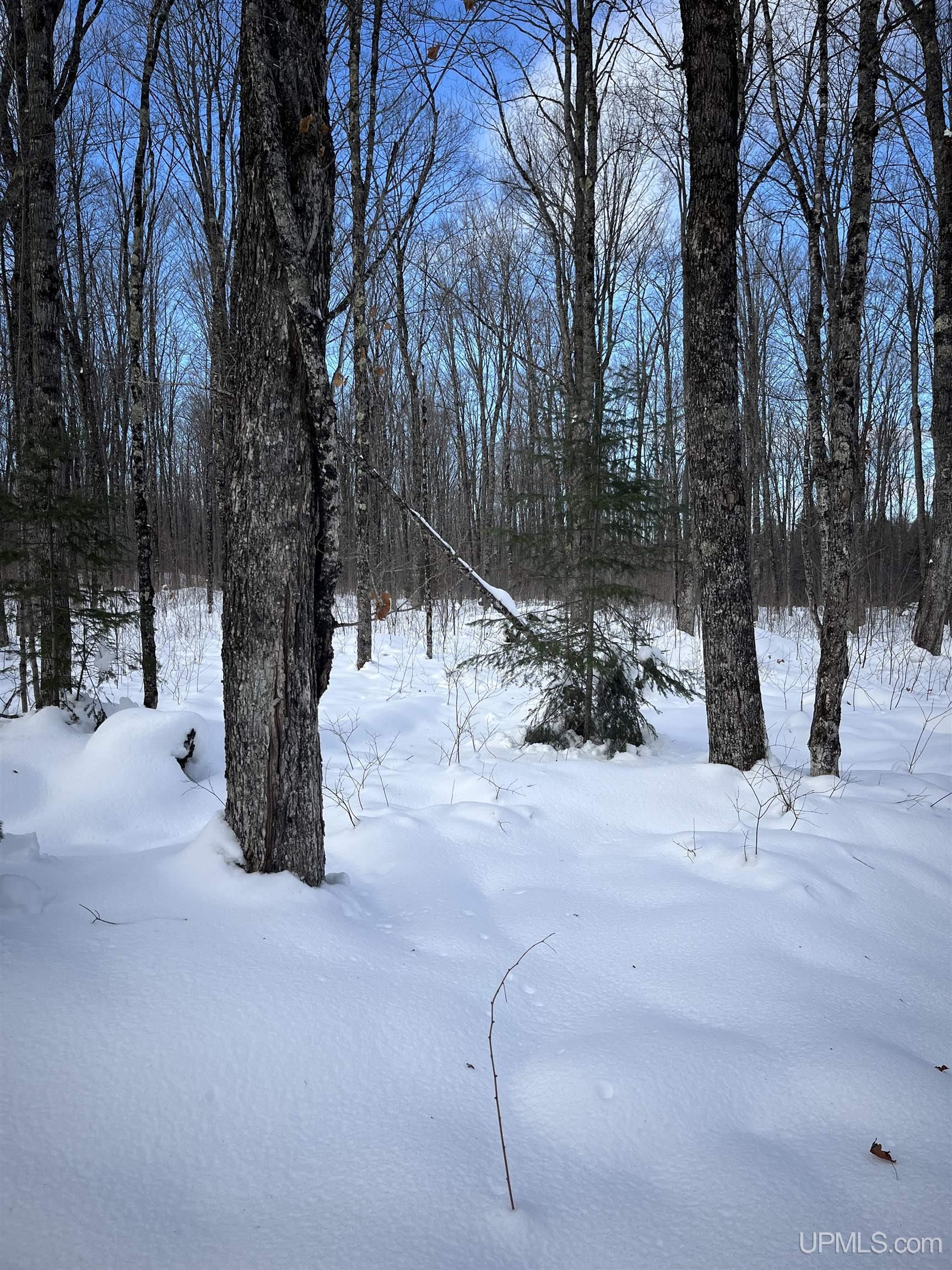 TBD Cable Lake Road, Crystal Falls, MI, 49920
