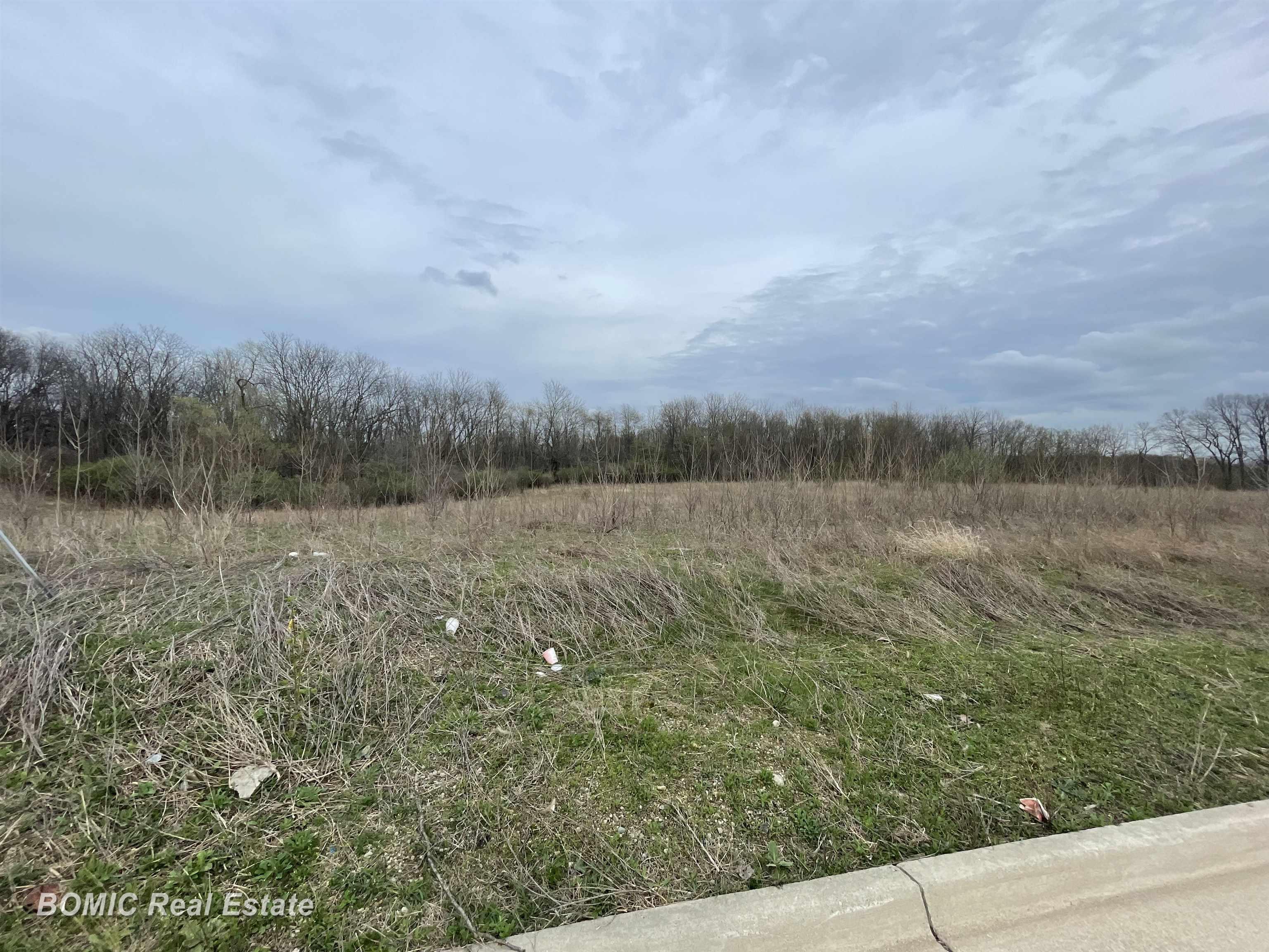 Lot 6 Harvest Park Drive, Dimondale, MI, 48821