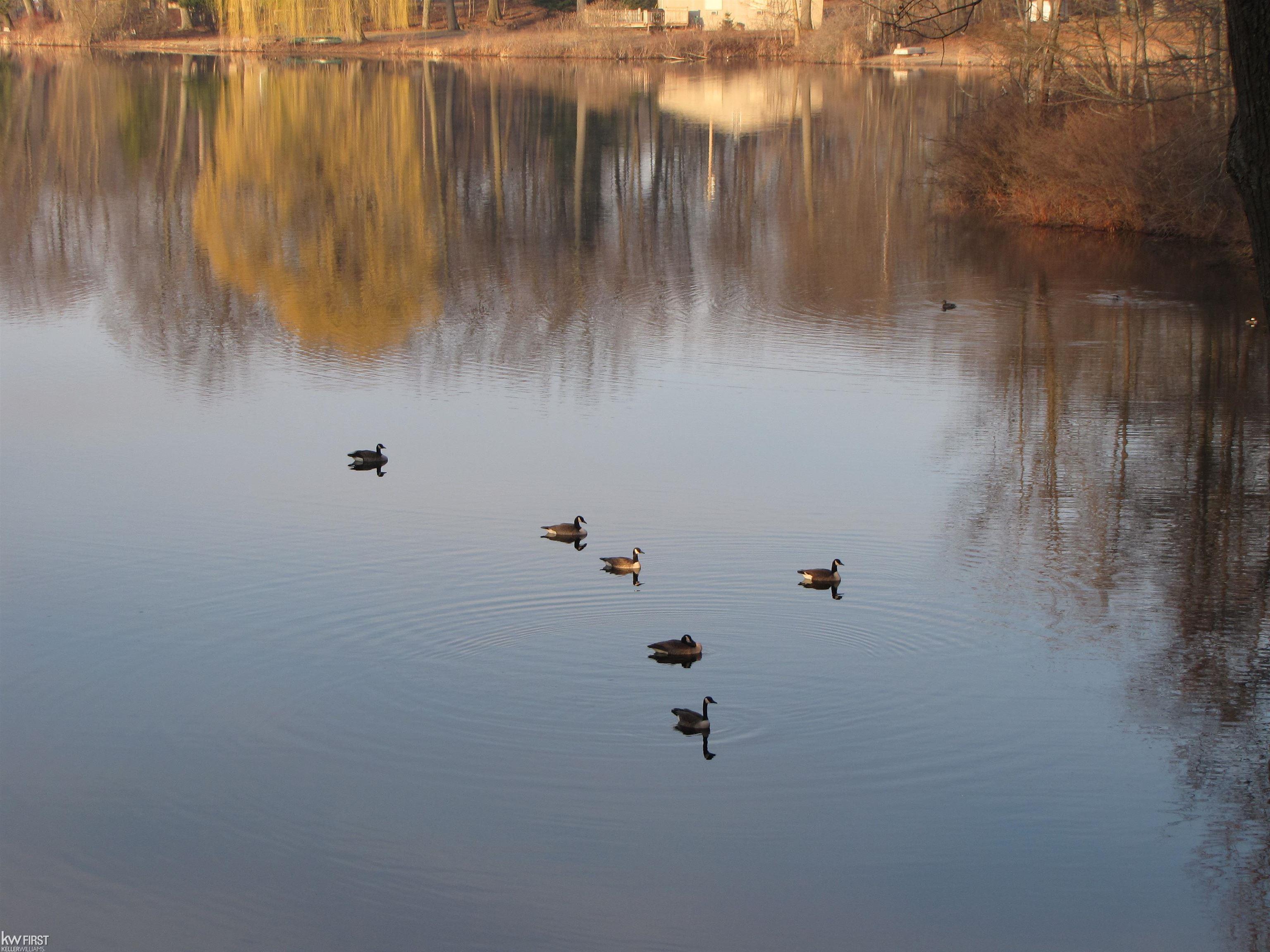 7195 Big Trail Drive, Holly, MI, 48442