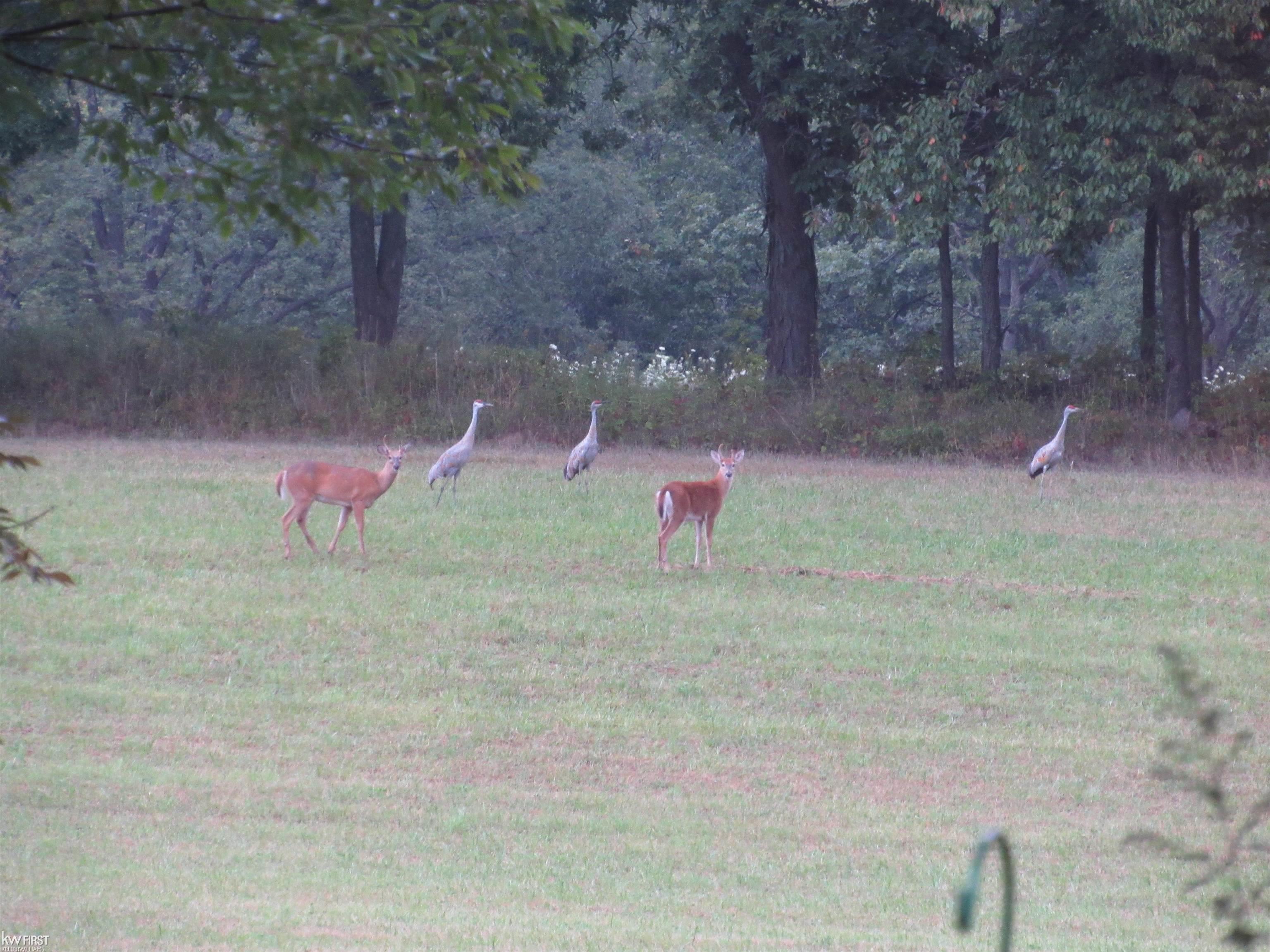 7195 Big Trail Drive, Holly, MI, 48442