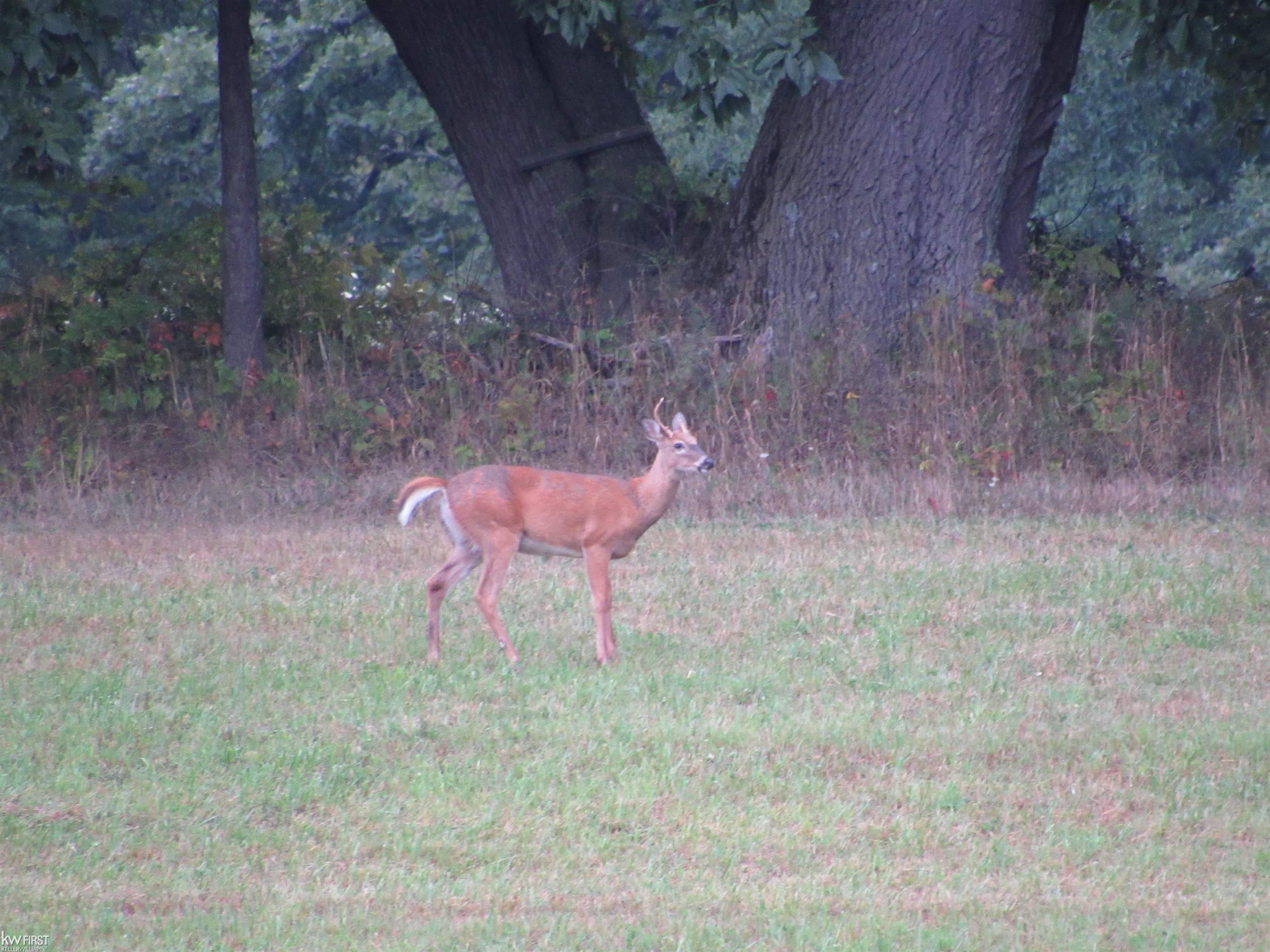 7195 Big Trail Drive, Holly, MI, 48442