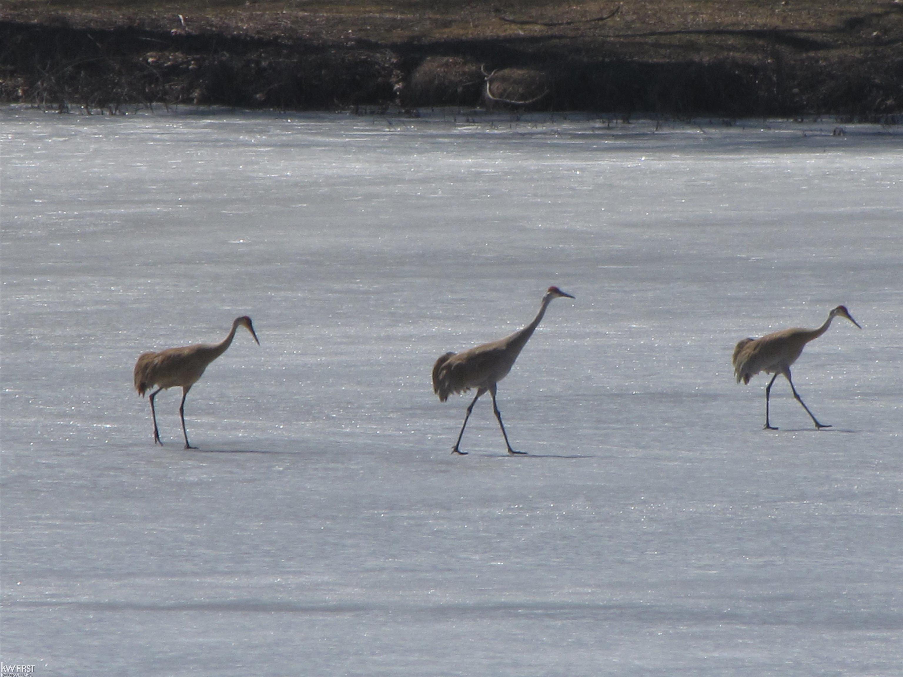 7195 Big Trail Drive, Holly, MI, 48442